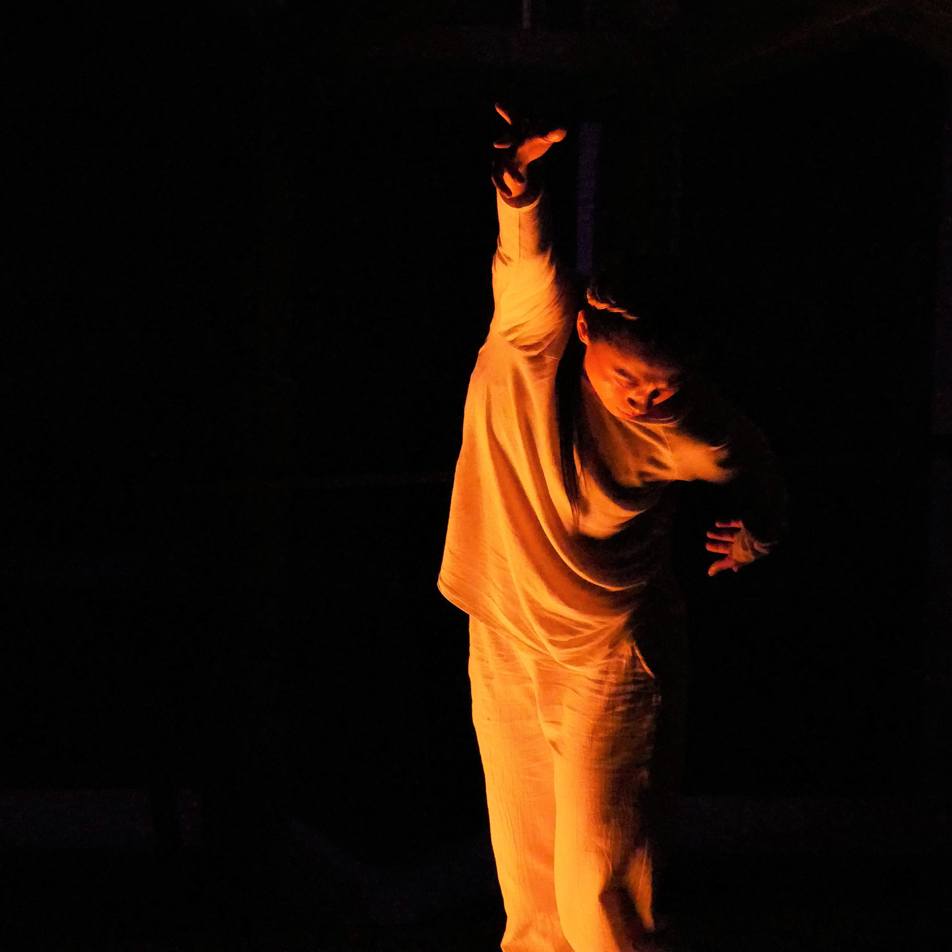 Retrouvailles chorégraphiées au Harpa 