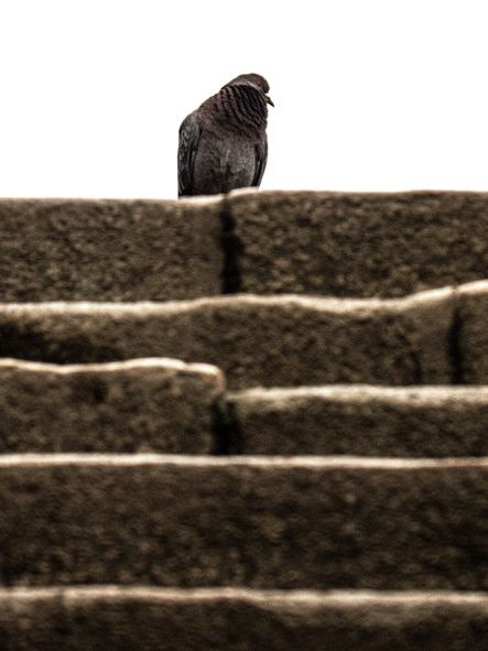 Saint-Malo , Bretagne, France, janvier 2020 / Saint-Malo, Brittany, France, January 2020