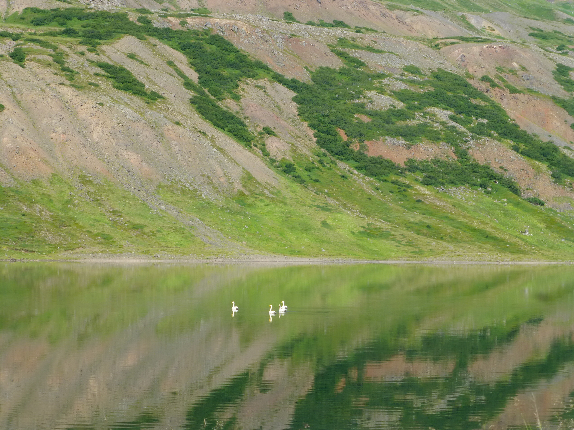 Fjords du nord-ouest, Islande, septembre 2019 / Vestfirðir / Westfjords, Iceland September 2019