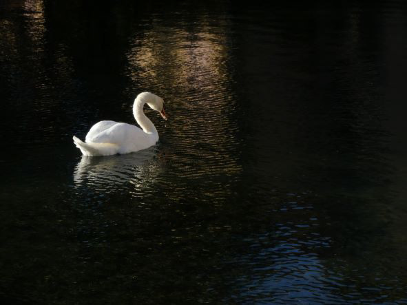 Aveyron, août 2020 / August 2010