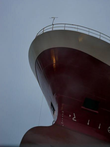 Retrouvailles portuaires Islande, Reykjavik