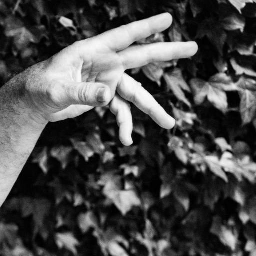 Serge Casero et Dano Haider, Cantal, France, August 2020 / Serge Casero and Dano Haider, Cantal, France, August août 2020