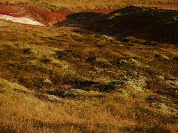Retrouvailles souffrées Islande, Reykjanesfólkvangur