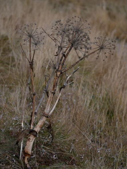 Retrouvailles côtières Islande, Reykjavik, Seltjarnarnes