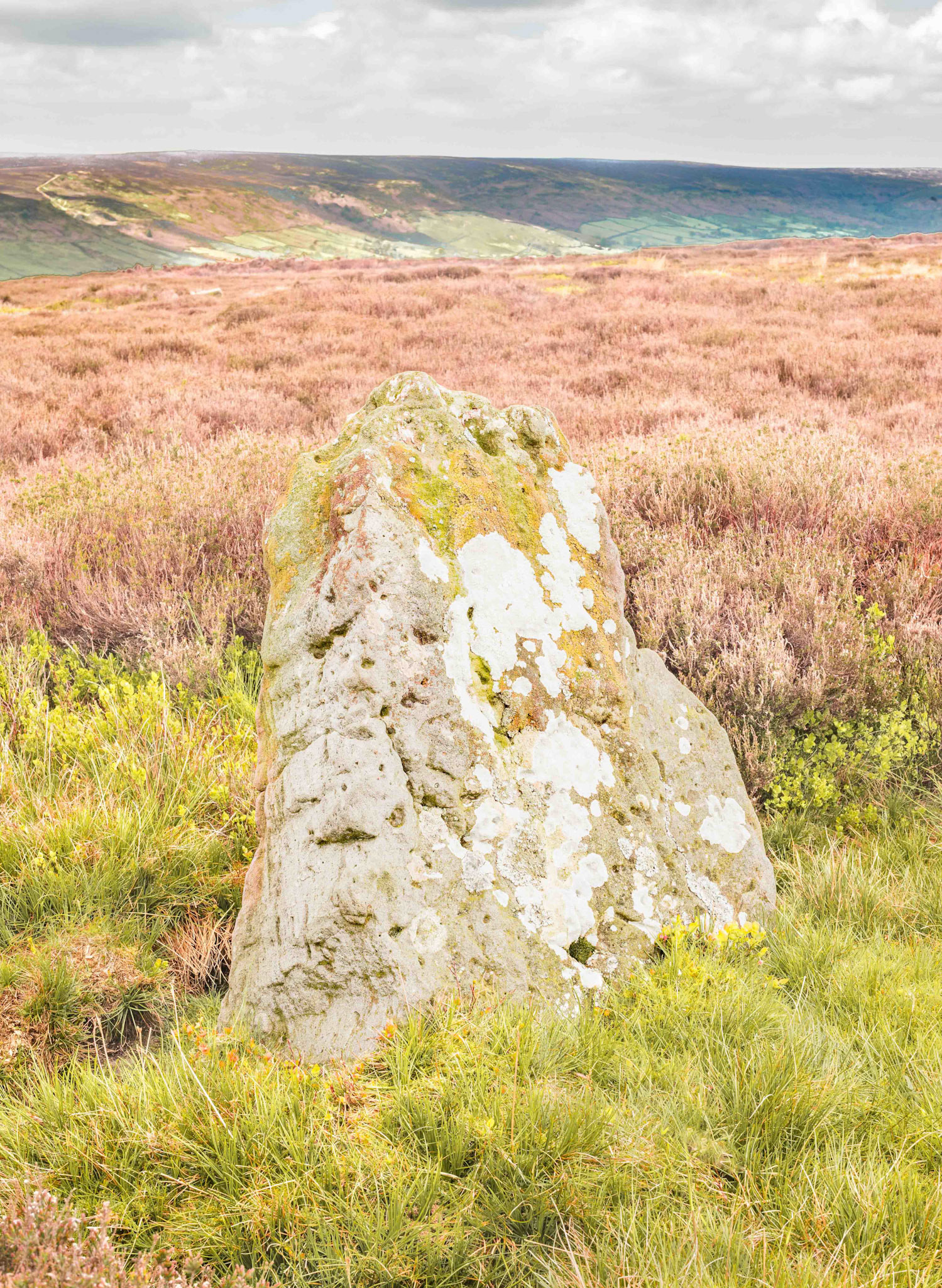 Stone Haggs SS1 Menhir Standing Stone side view - North York Moors UK 2024