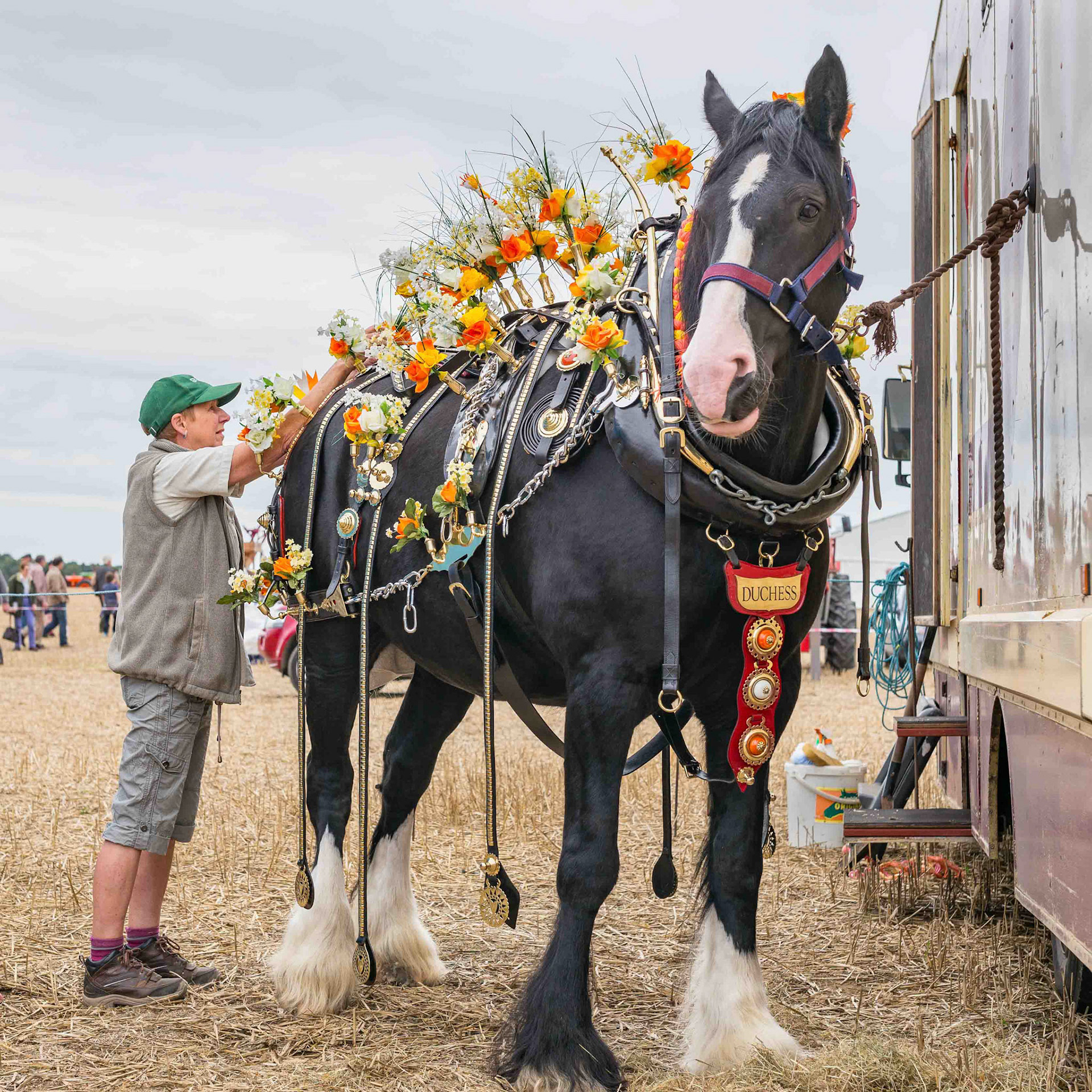 Duchess - World Ploughing Championship 2016