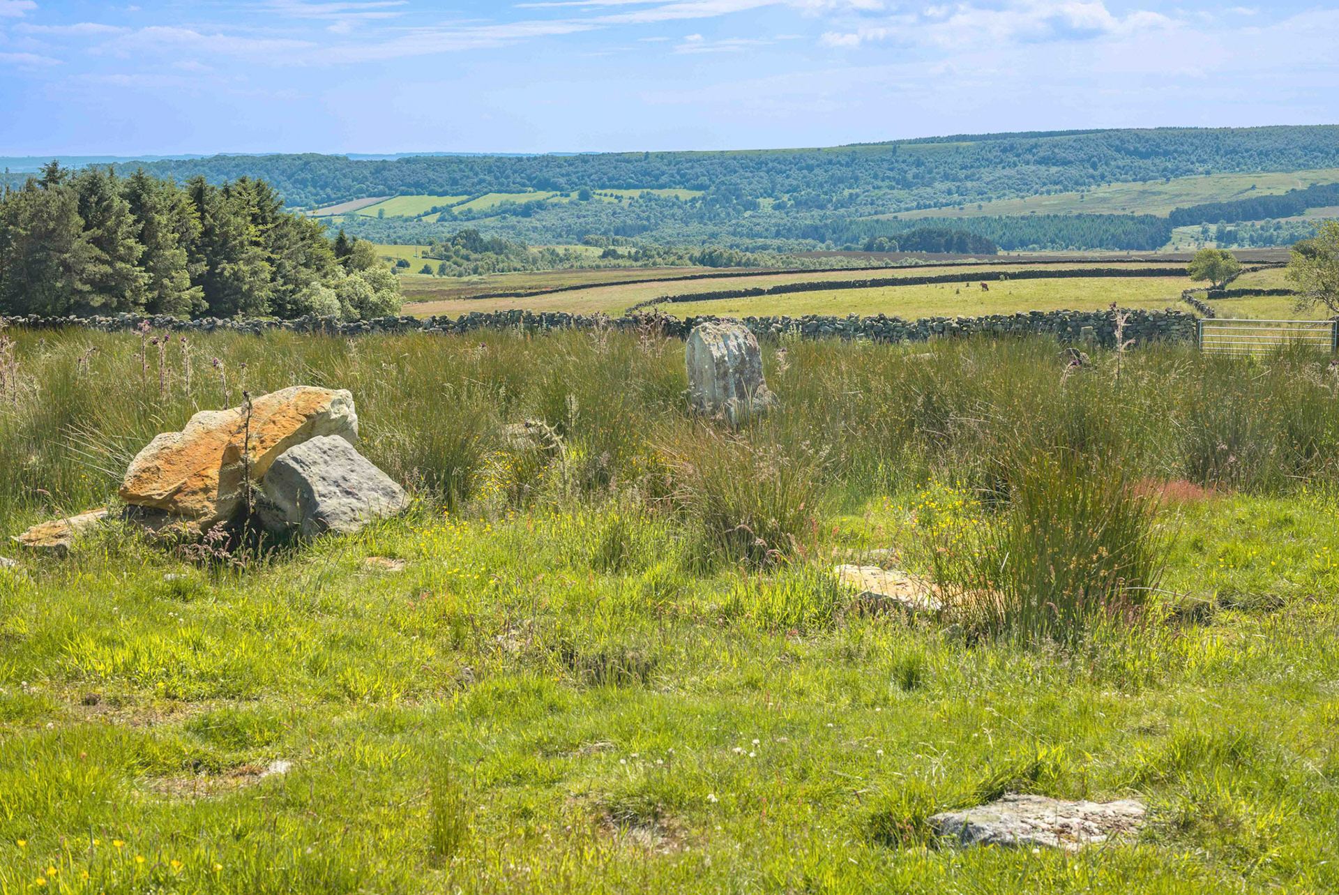 Bog House Standing Stone General View - North York Moors UK 2024