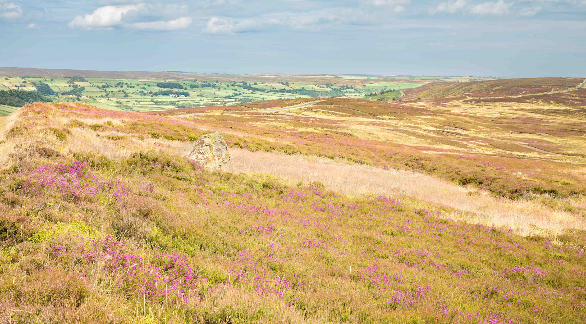 Rokan Stone Distance View of South Face - Glaisdale Rigg North York Moors UK 2024