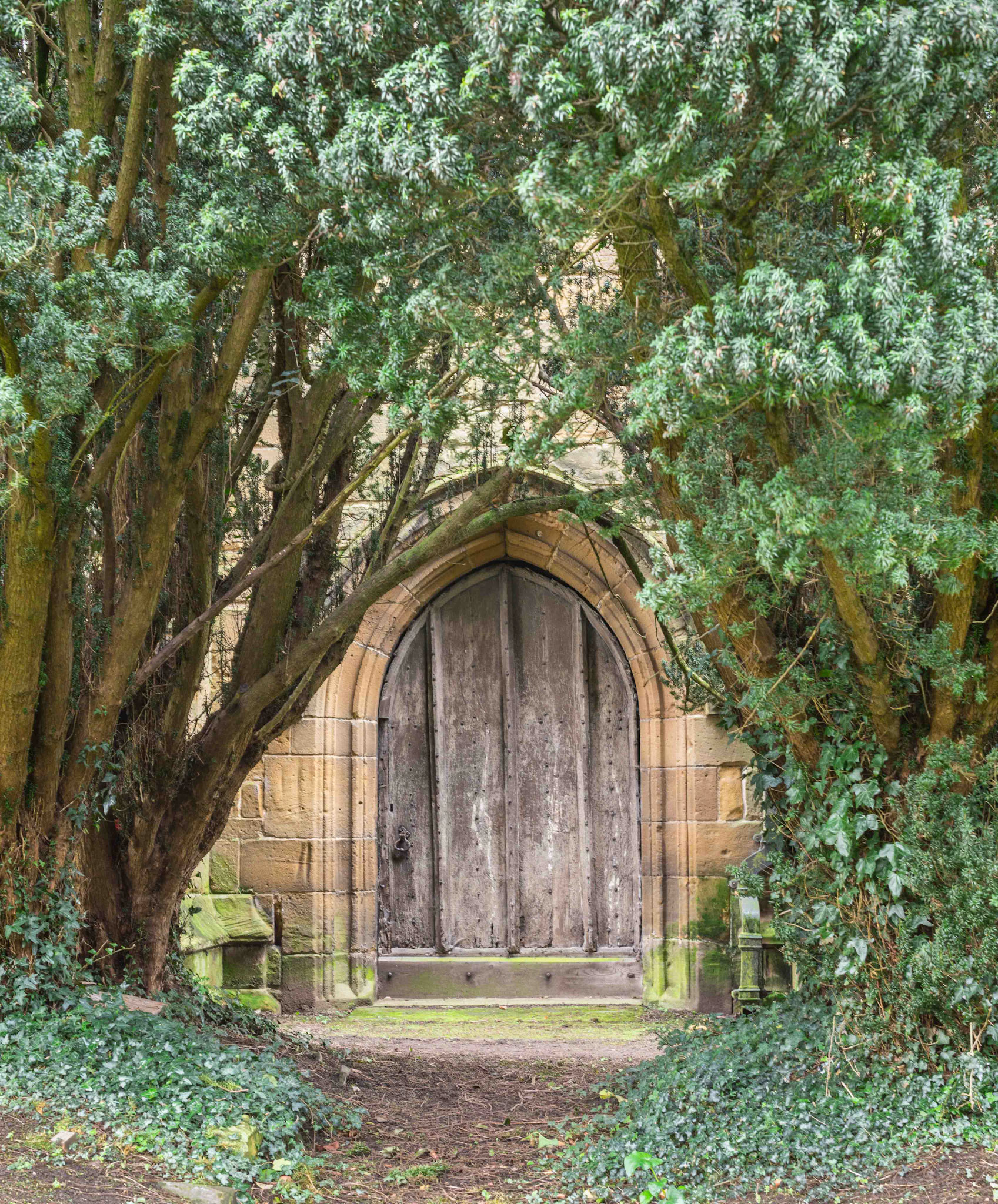 The North Door at St Mary's Church Thirsk - North Yorkshire UK 2024