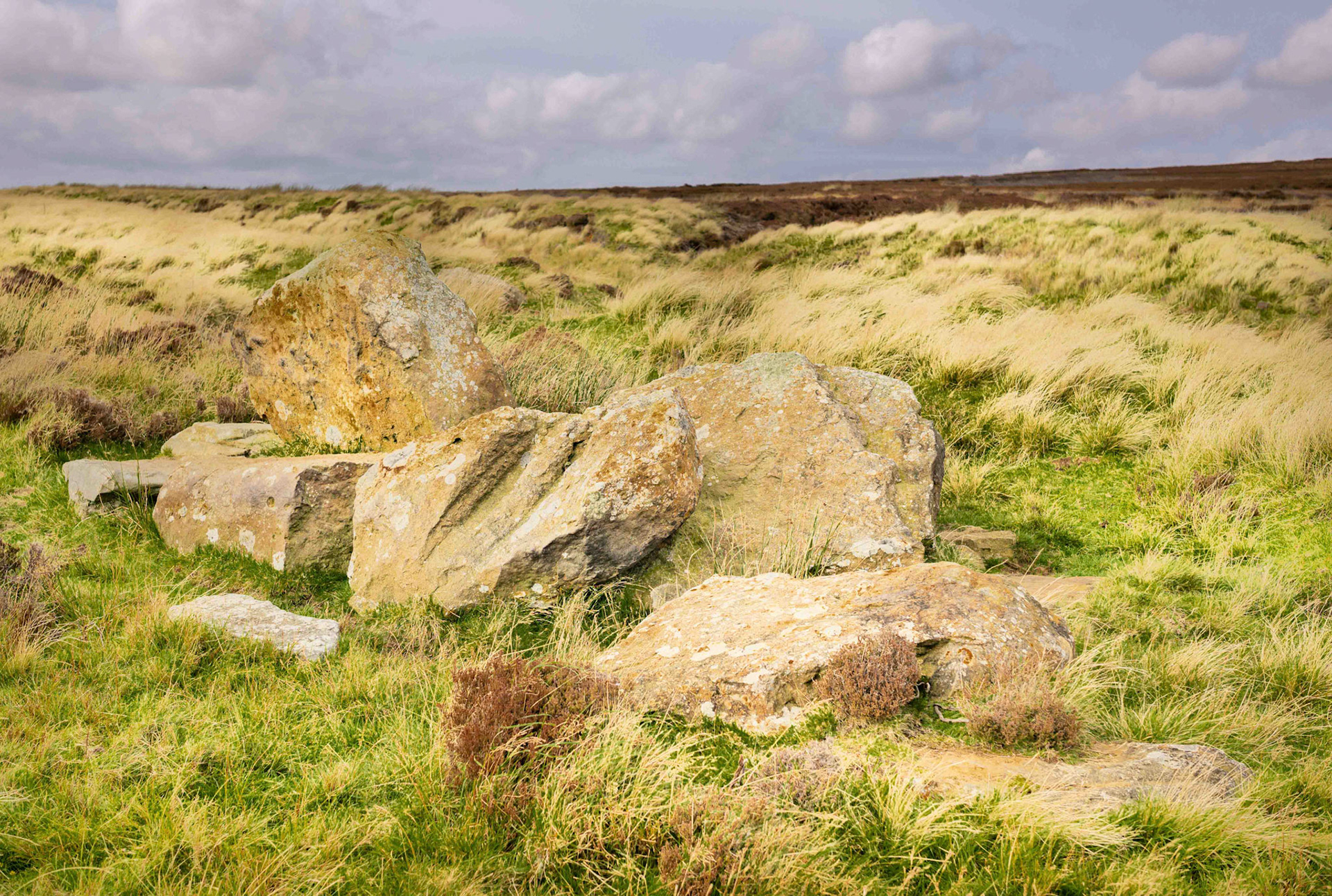 Stones near Reeking Gill - North York Moors UK 2020
