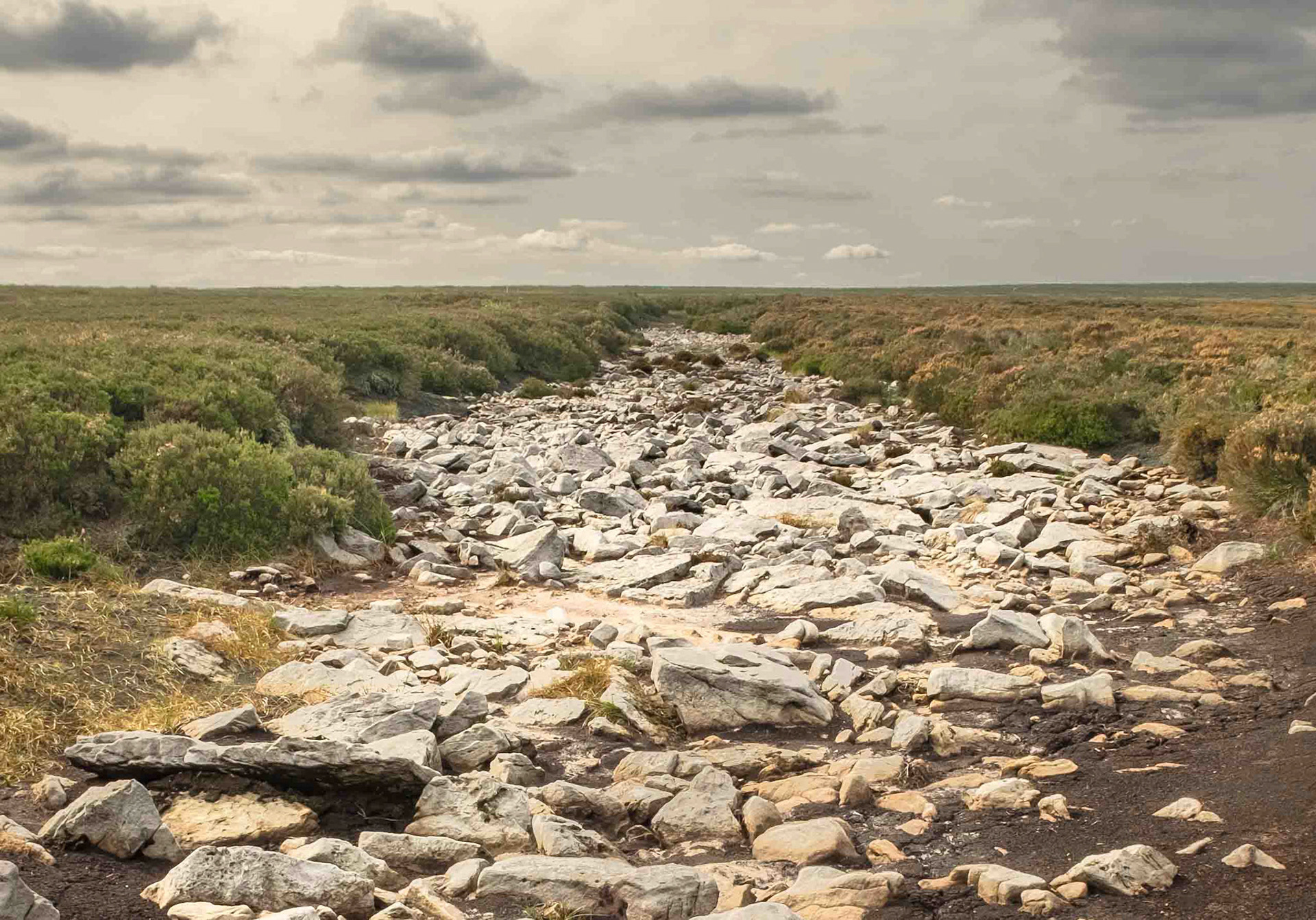 Remnants of the Lyke Wake Walk - North Yorkshire UK 2020