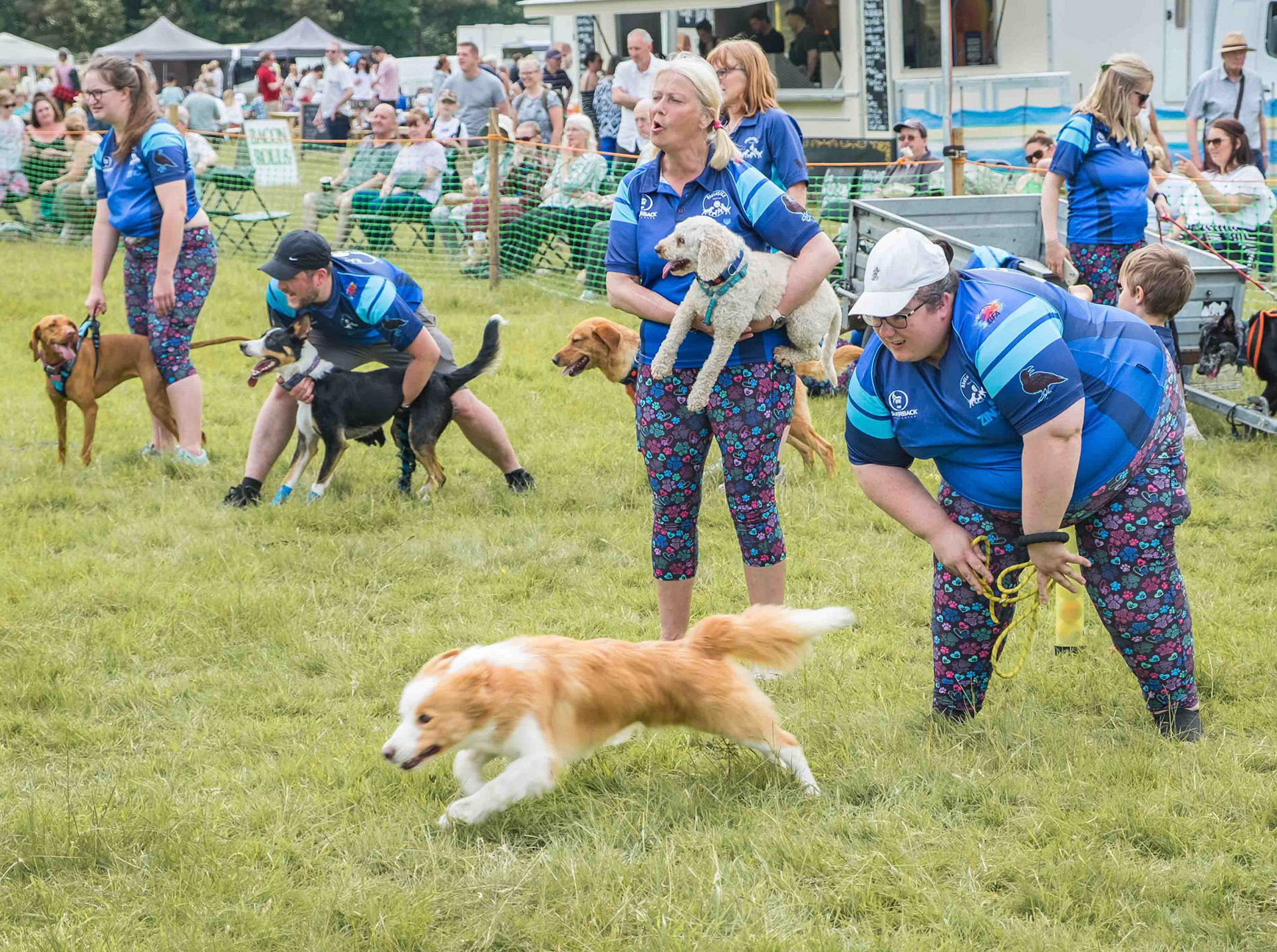 Dog Race - North Yorkshire UK 2024