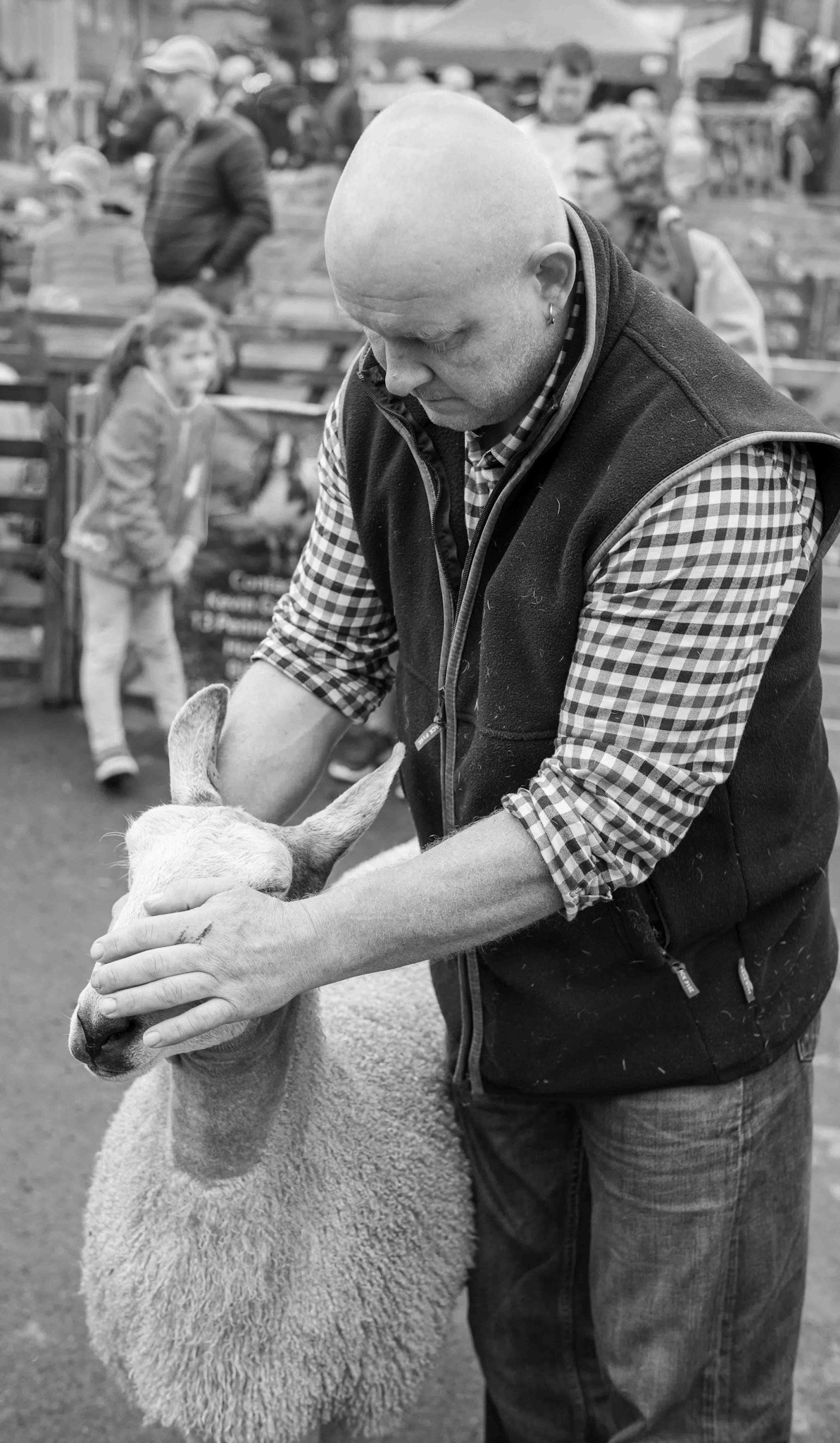 Man and Sheep - North Yorkshire UK 2019
