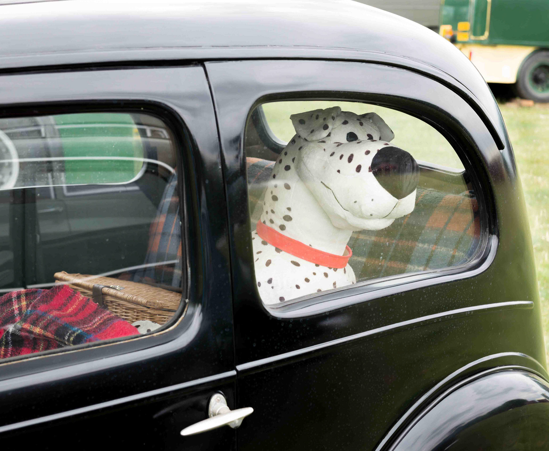 Dog in Car - Duncombe Park Steam Fair North Yorkshire UK 2016