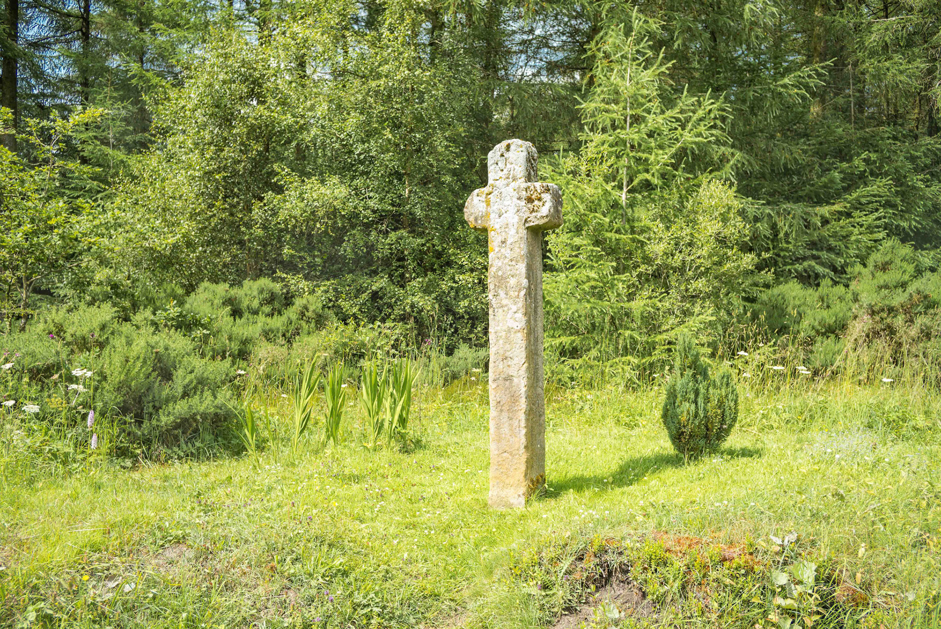 Mauley Cross - Cropton Forest North Yorkshire UK 2024