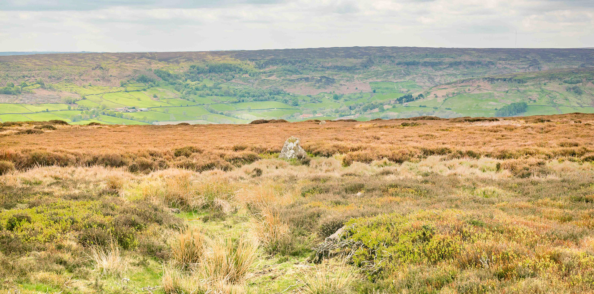Stone Haggs SS1 Standing Stone Menhir distance view  - North York Moors UK 2024