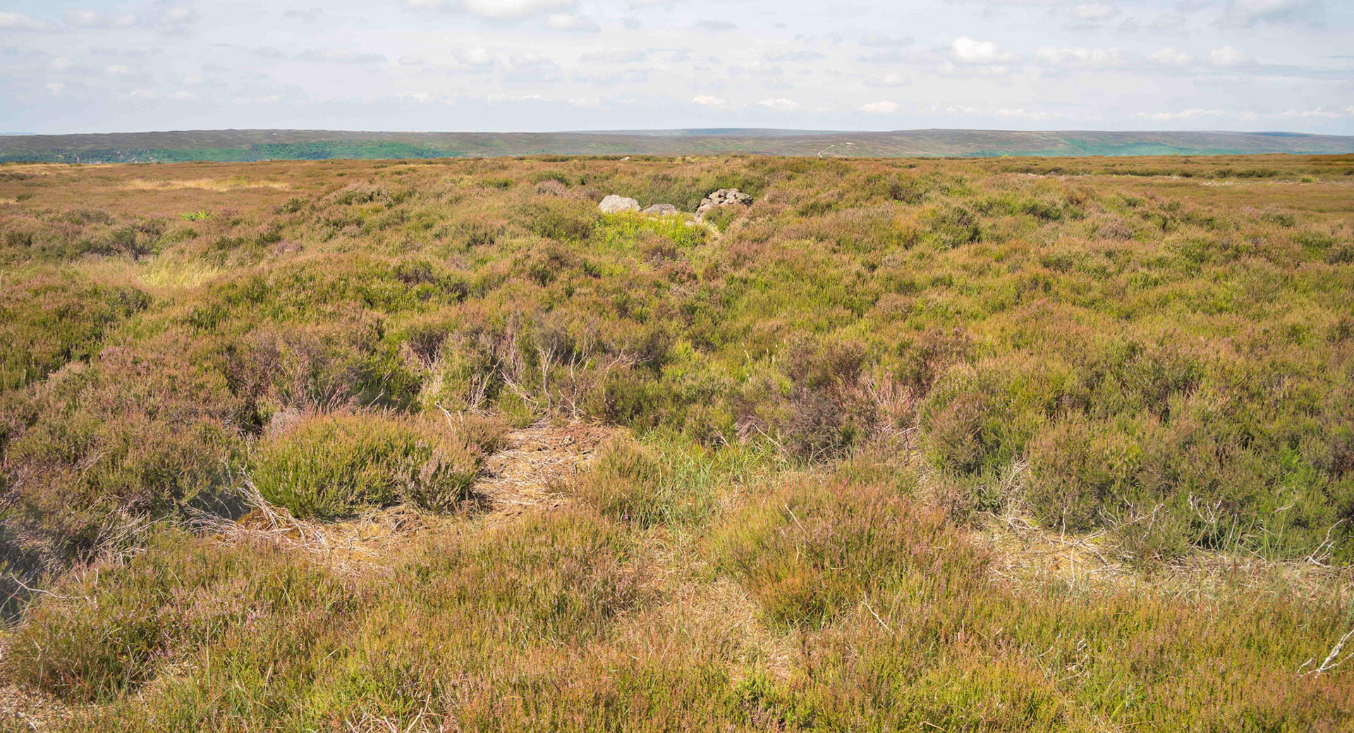 Pike Howe on Blakey Ridge Distance View - North York Moors UK 2024