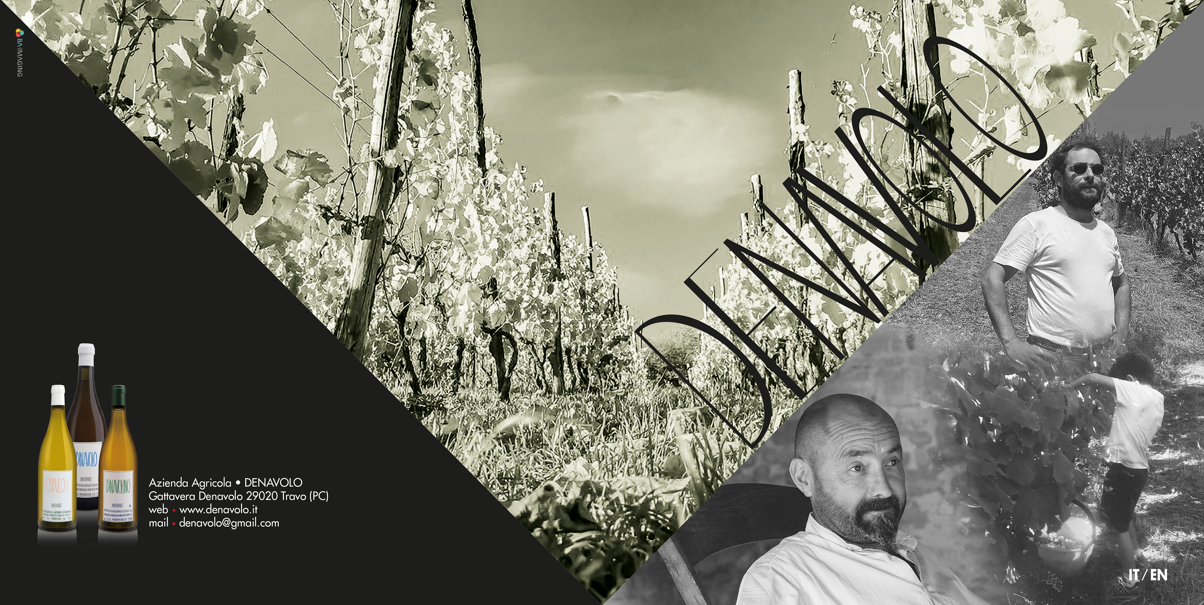 Leaflet Az. Denavolo (cop)