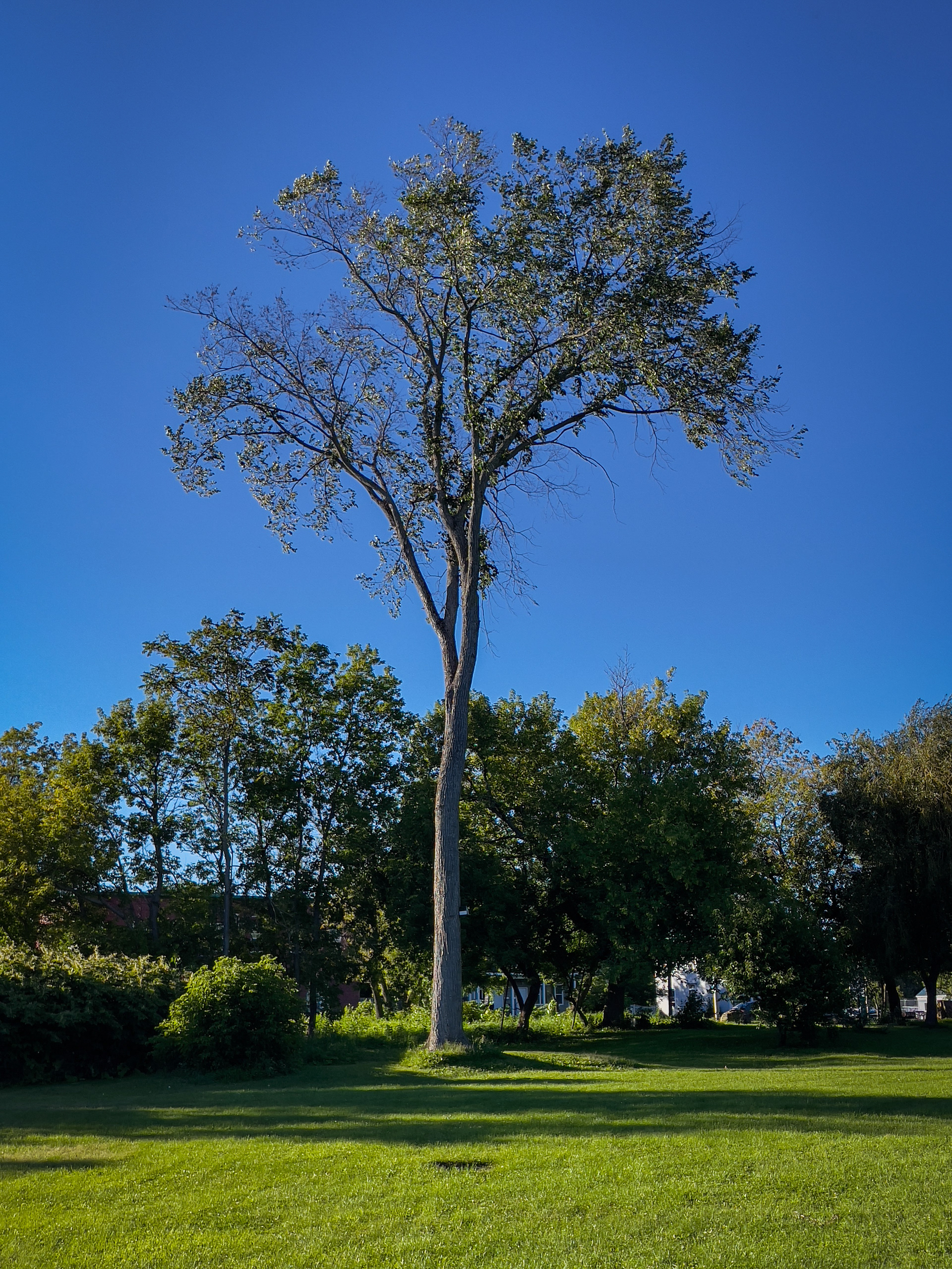 Fredericton, NB