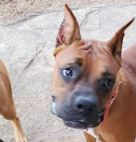 Roxy
