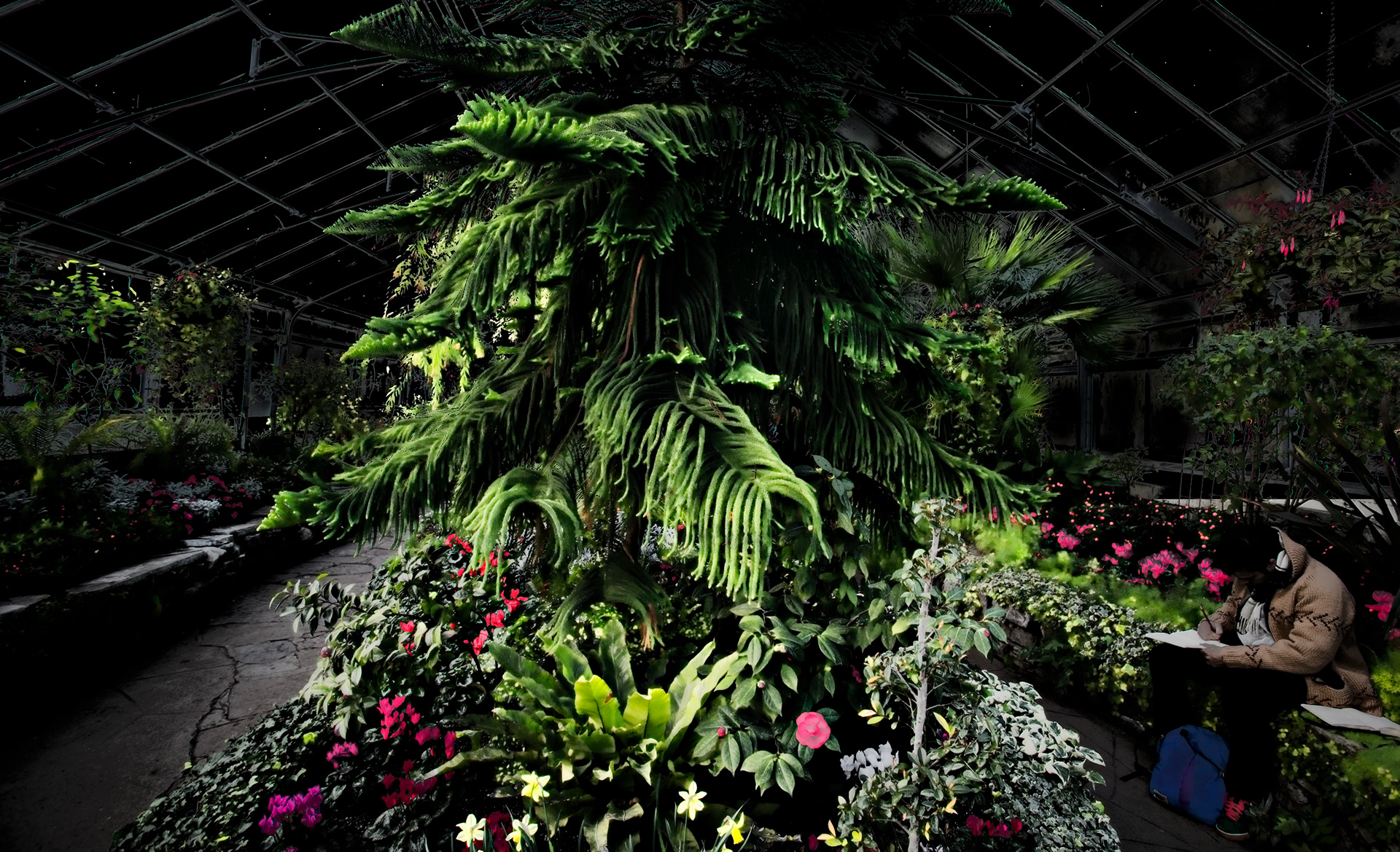 Allan Gardens