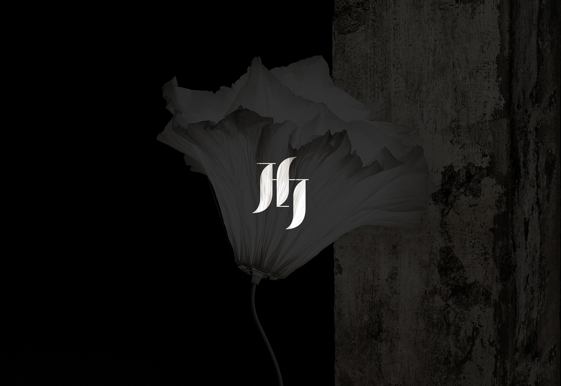 JFJ / Client: Junior Fritz Jacquet / Logotype, Identity Design, Brand Guidelines, Typography