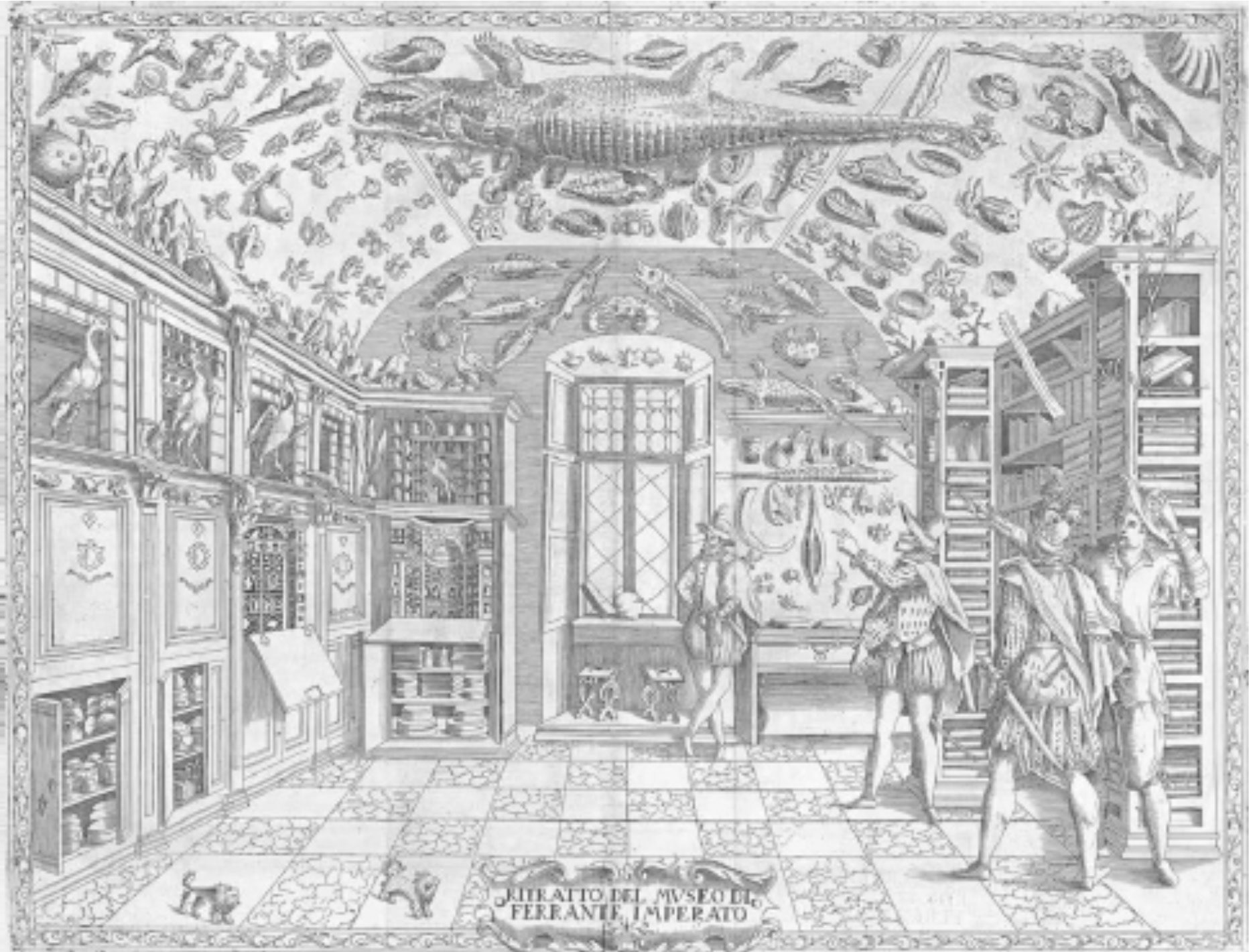 Historical cabinets of curiosities, image source: https://www.sothebysinstitute.com/news-and-events/news/cabinets-of-curiosities-and-the-origin-of-collecting