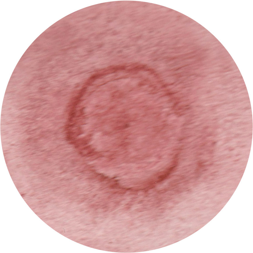 Sophie Bouvier Ausländer