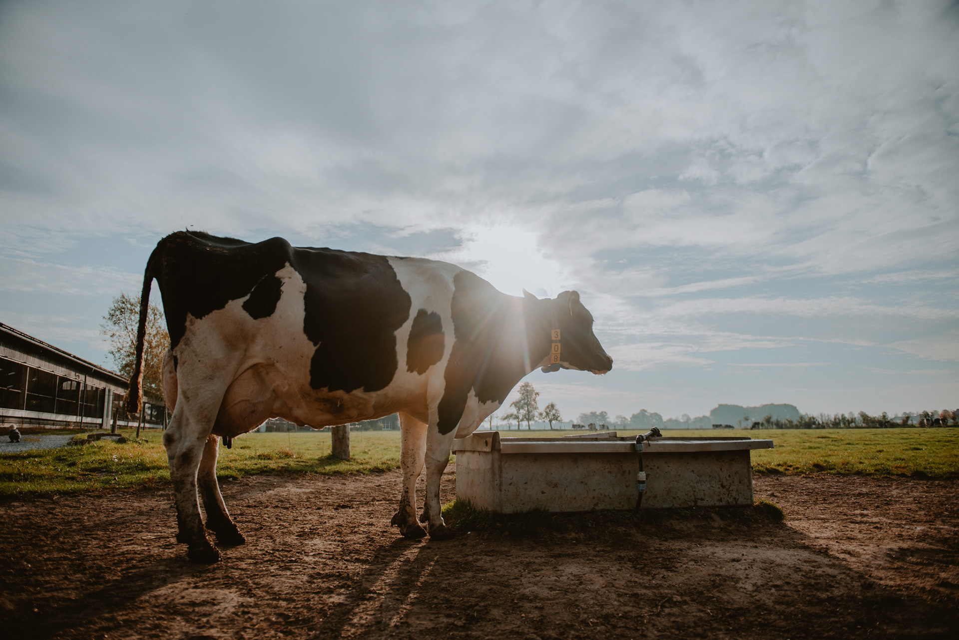 Sfeerfoto voor biologisch kaasmerk
