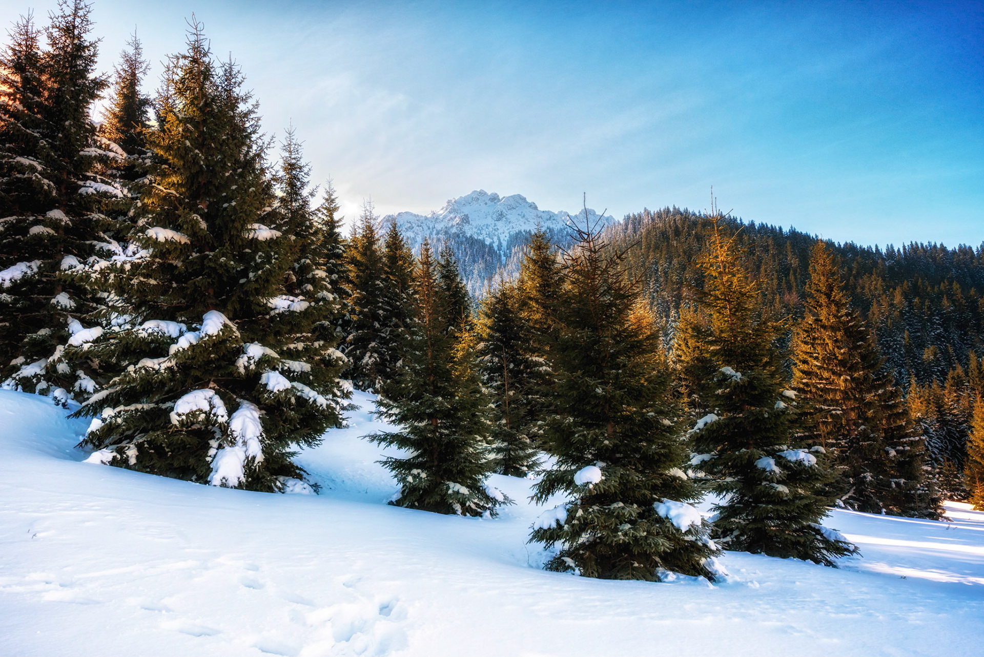 Veľký Rozsutec - Malá Fatra