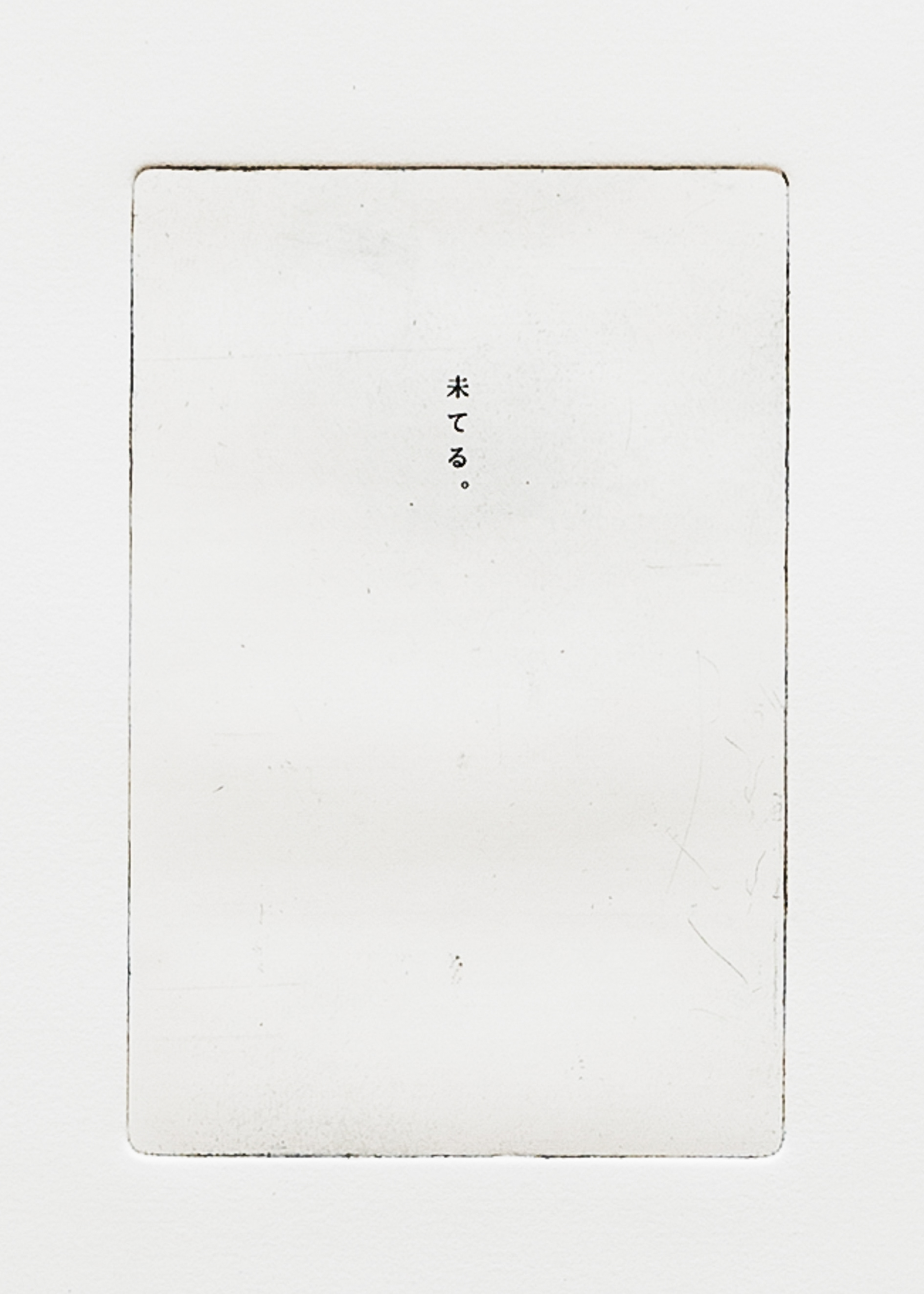 Miteru, 2013, etching on paper, 122x80.5 cm (paper size)