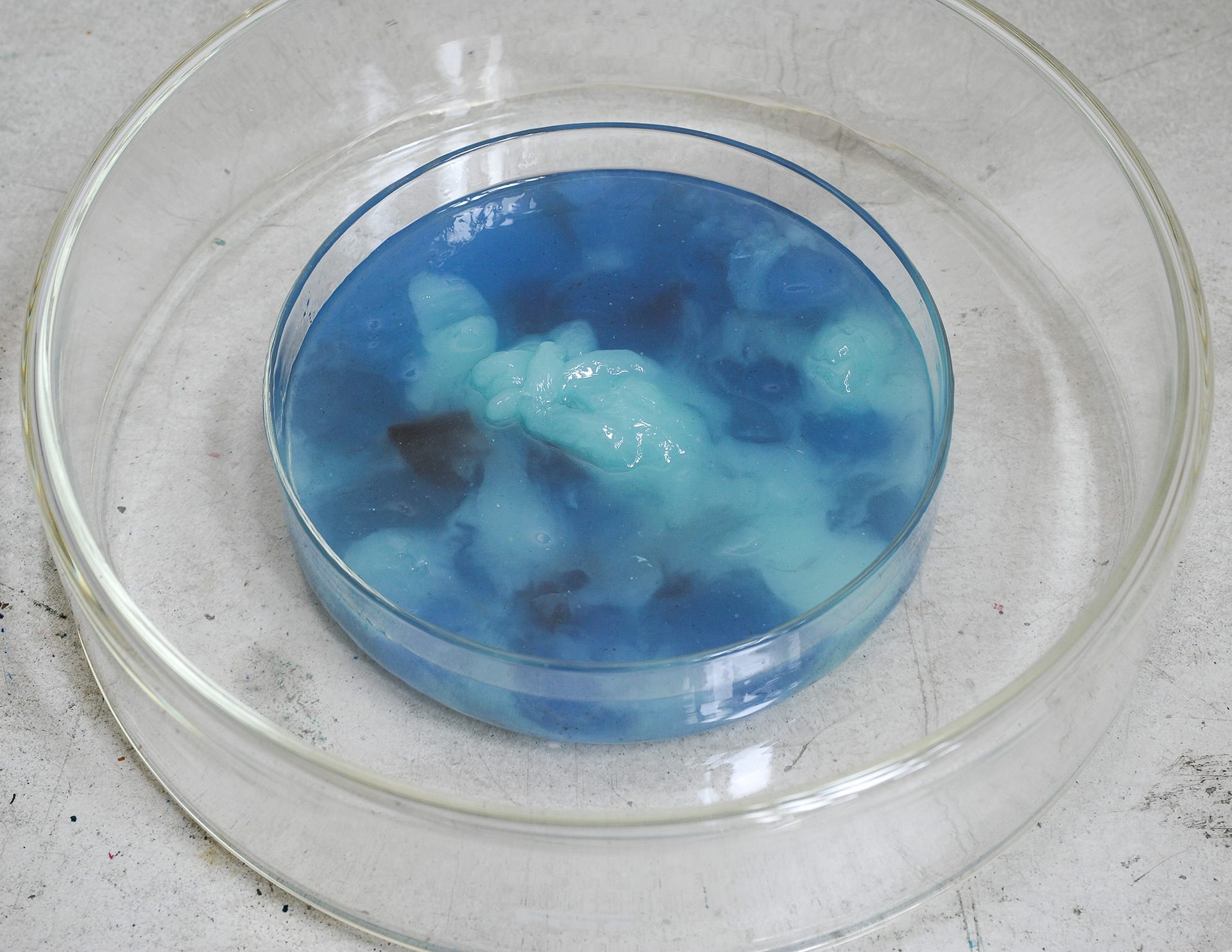 Water mummy-N's Herat, 2013, mixed media, urethane, petri dish, 7xφ25 cm, 4xφ16 cm