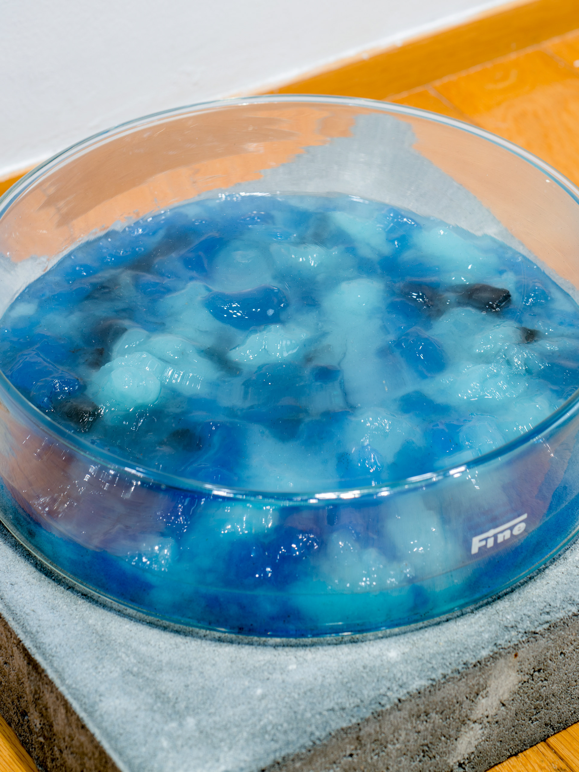 Water mummy-N's Herat, 2013, mixed media, urethane, petri dish, 7xφ25 cm