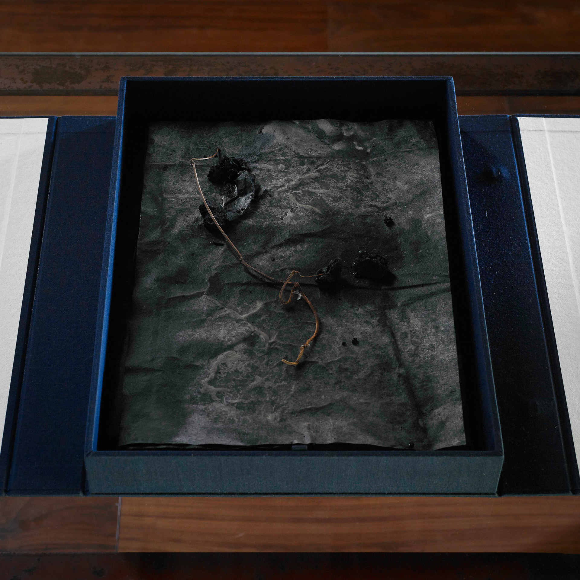 Sheaf and Stalk (for Zuiun-An), 2019, monotype print, oil, Japanese washi paper, mixed media, Japanese chitsu binding folder, 38x86x4.7 cm (opened), 28x28.7x 6 cm (closed), Photo ©︎Tadasu Yamamoto