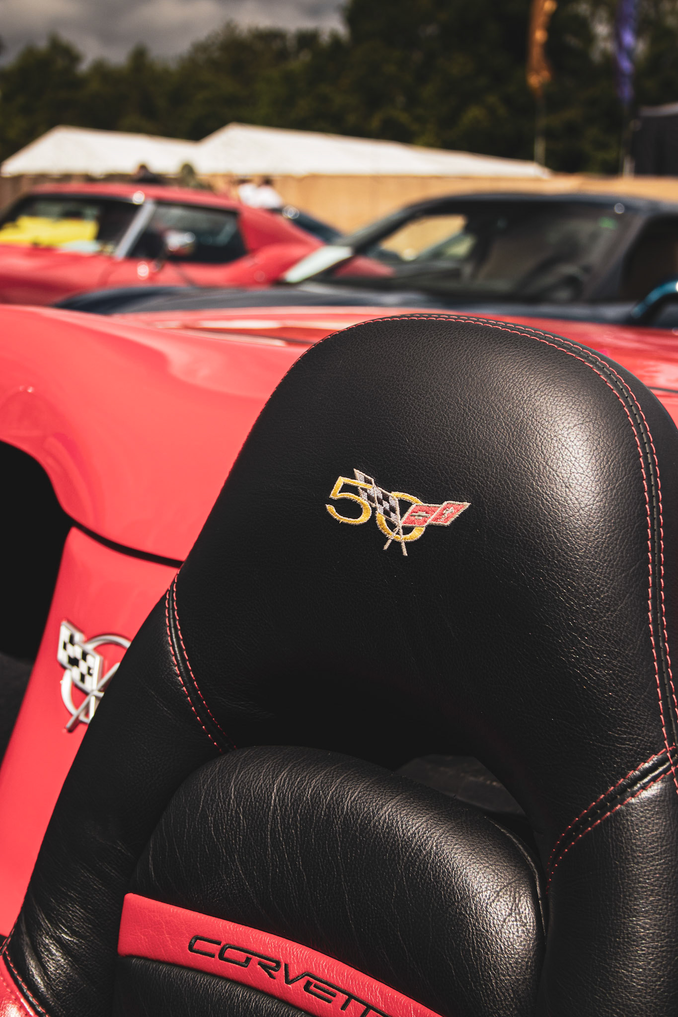 Corvette Seat