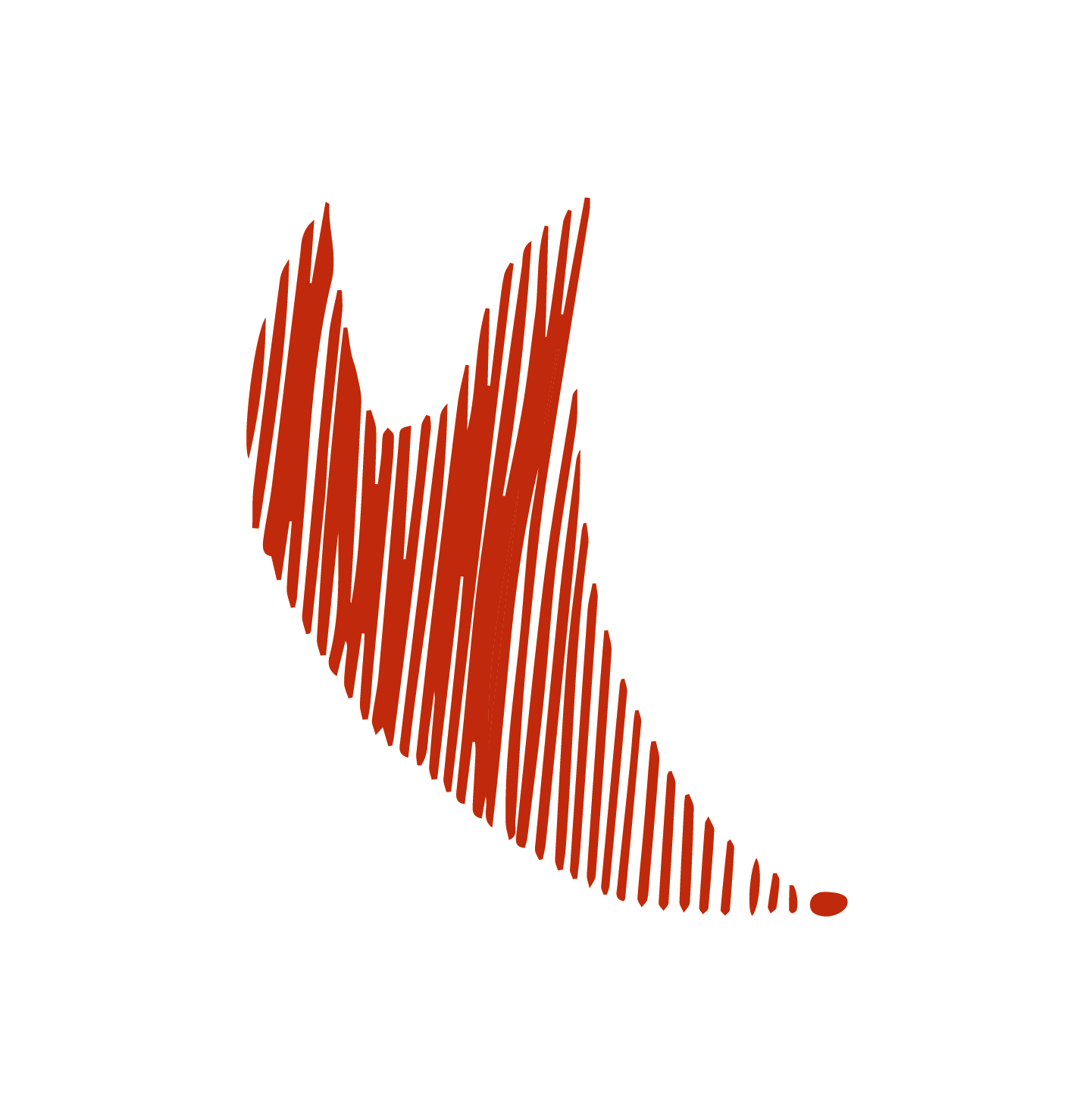Déclinaison du logotype