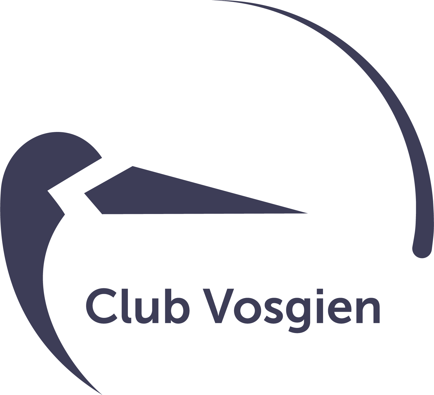 Déclinaison du logotype