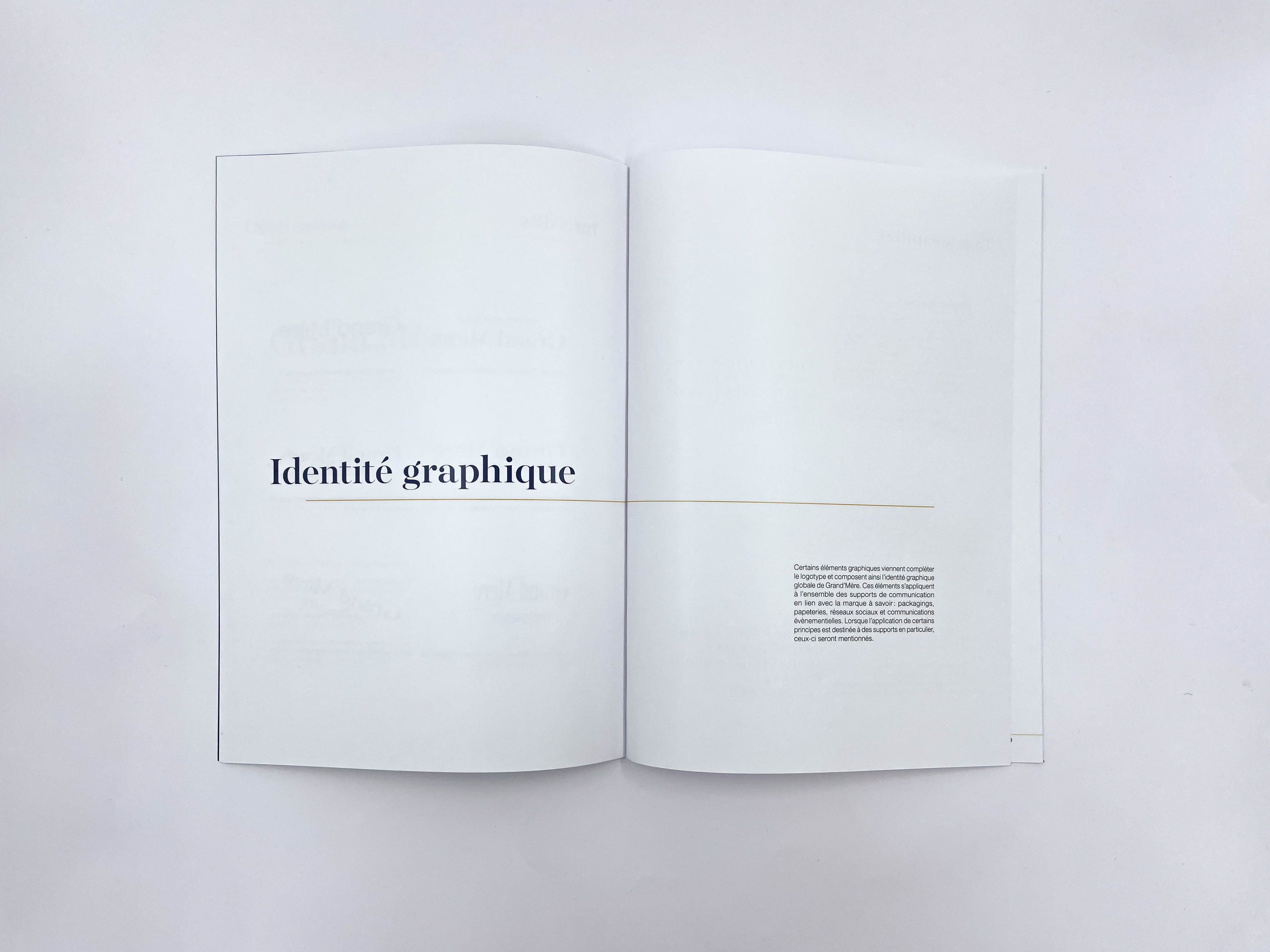 Charte graphique