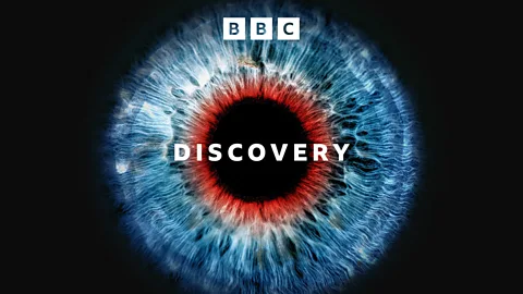 Production Coordinator for Discovery on BBC World Service