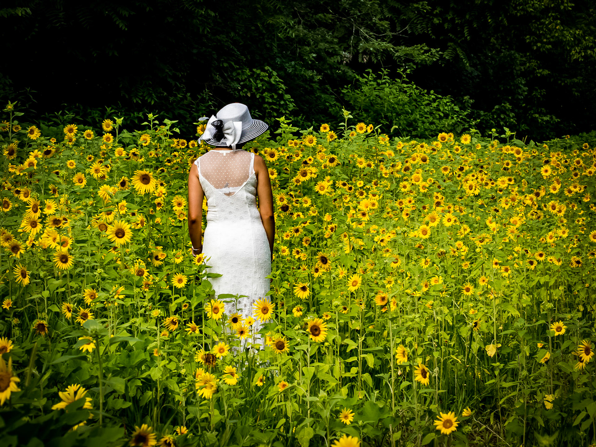 Lady in Sunflower Field