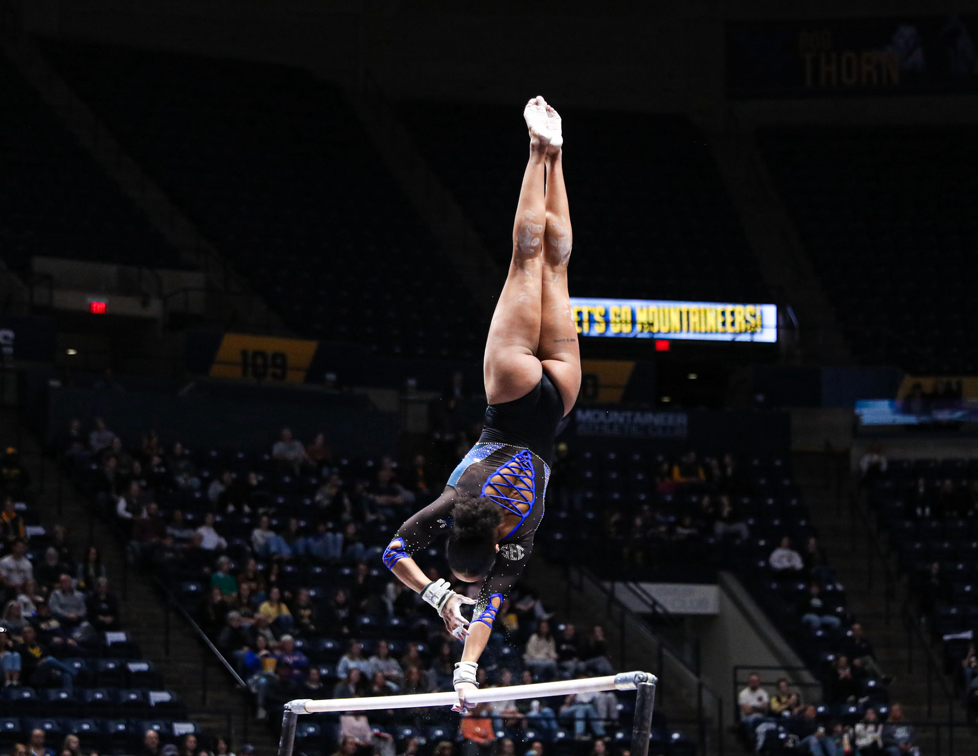 during the Gators’ meet against the Mountaineers and Utes on Sunday, February 2 2025 at West Virginia Coliseum Morgantown, WV / UAA Communications photo by Morgan Hurd