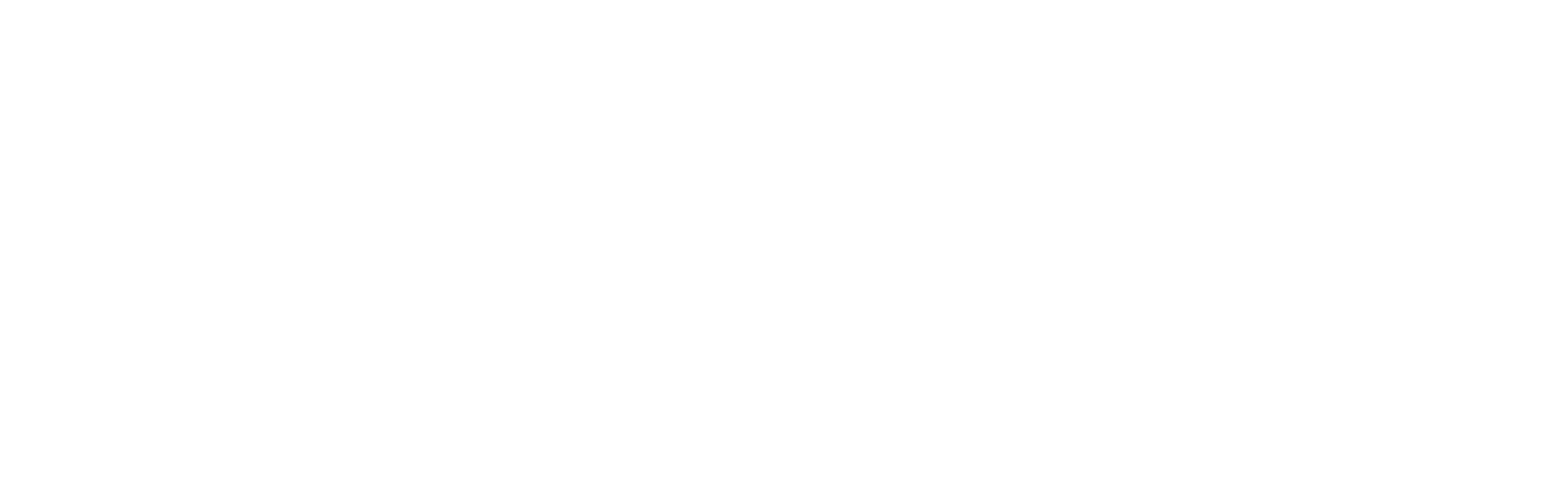 VISN FILMS