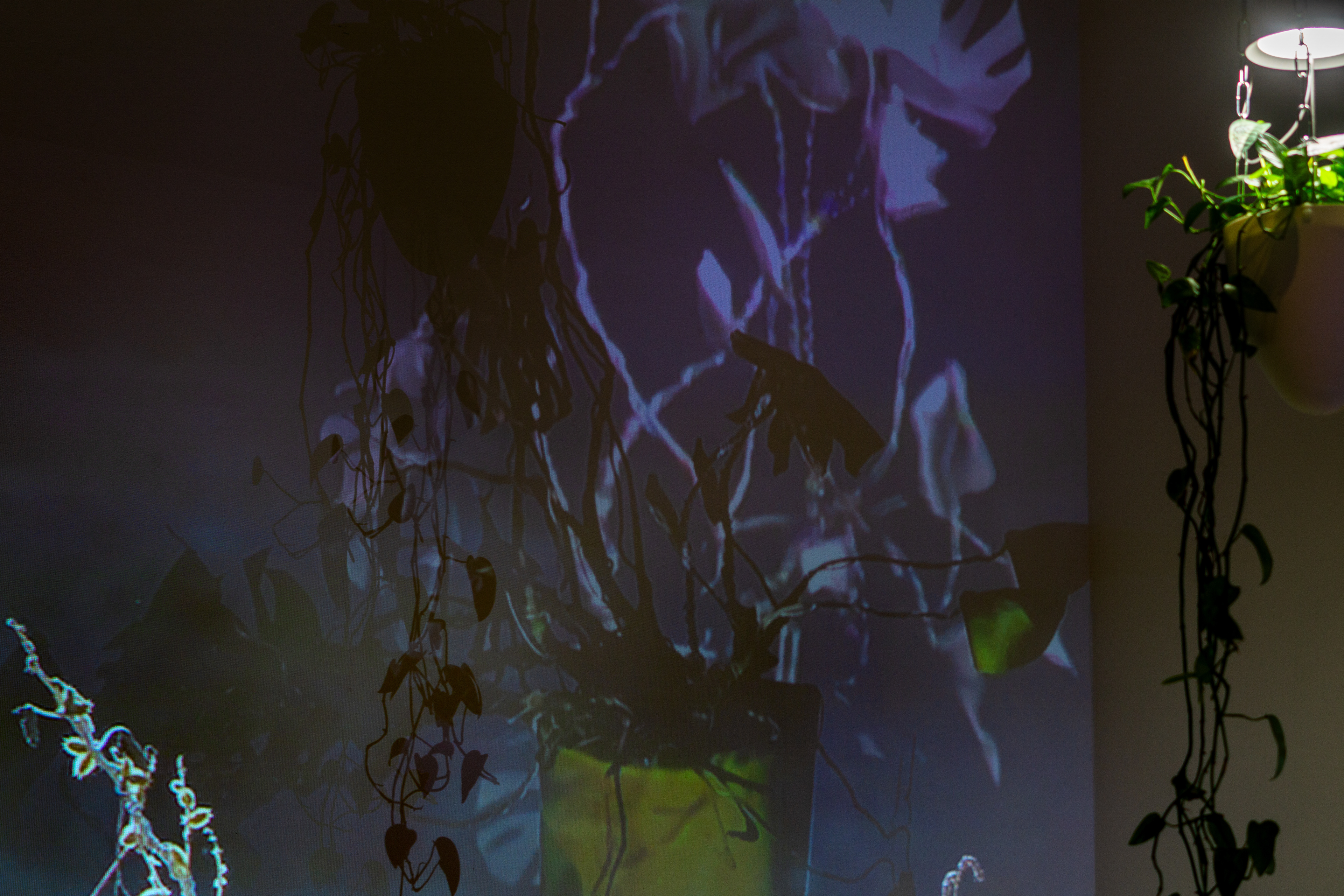 Peggy Phelps Gallery