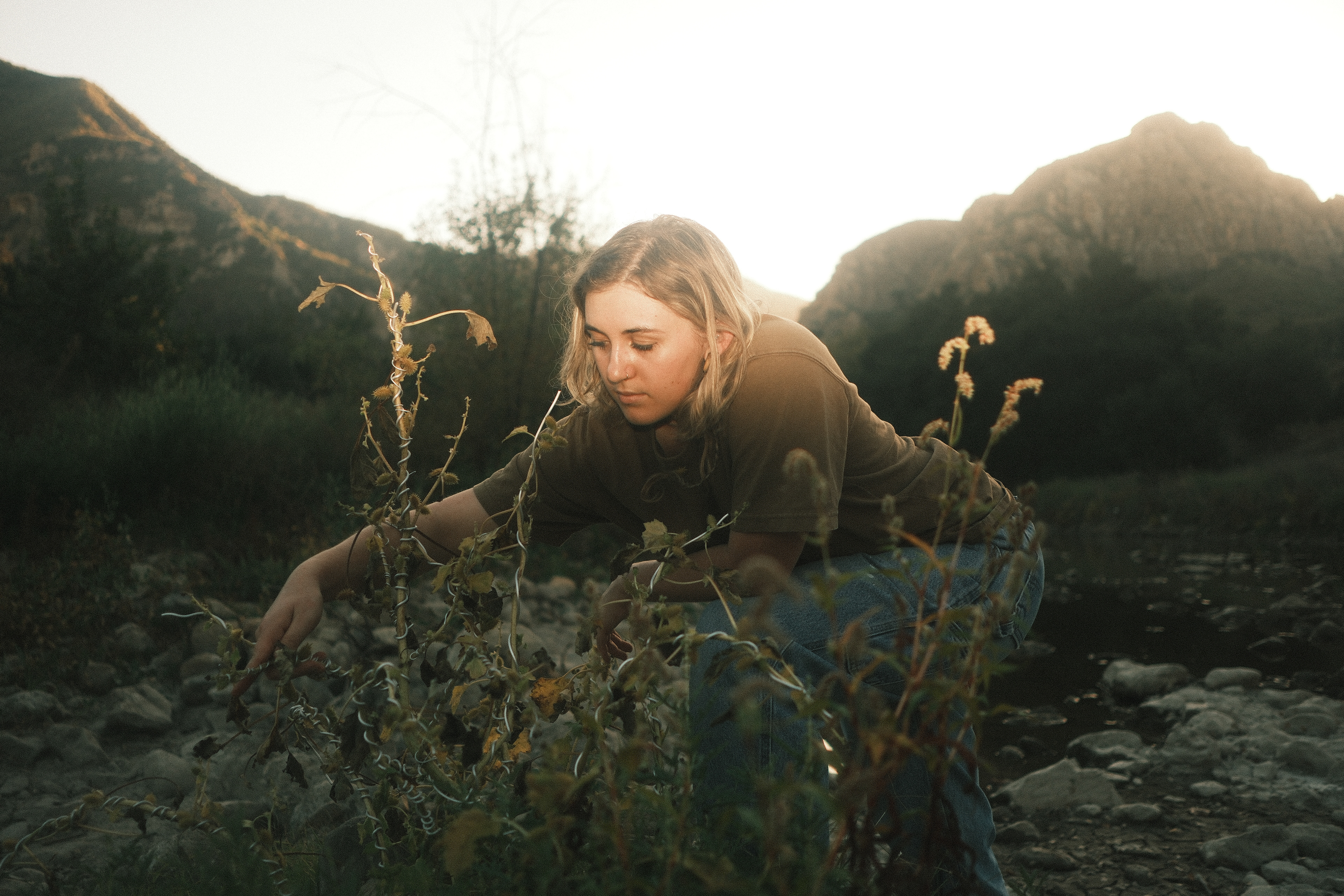 Sophia Wolfe is animating a real plant growing in the Santa Monica hills. Silver armature wire is wrapped around the plant's branches. This photo was taken by Christopher Powers.