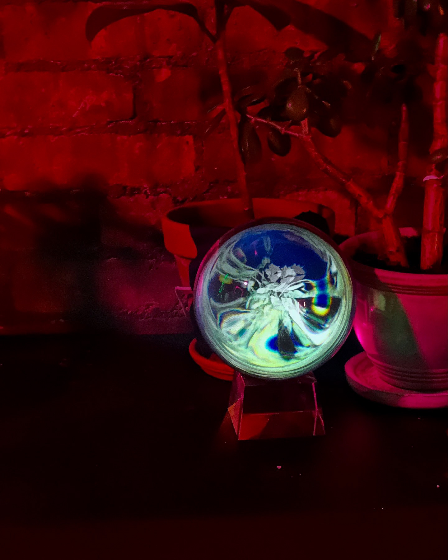 Orb, SoMad NY