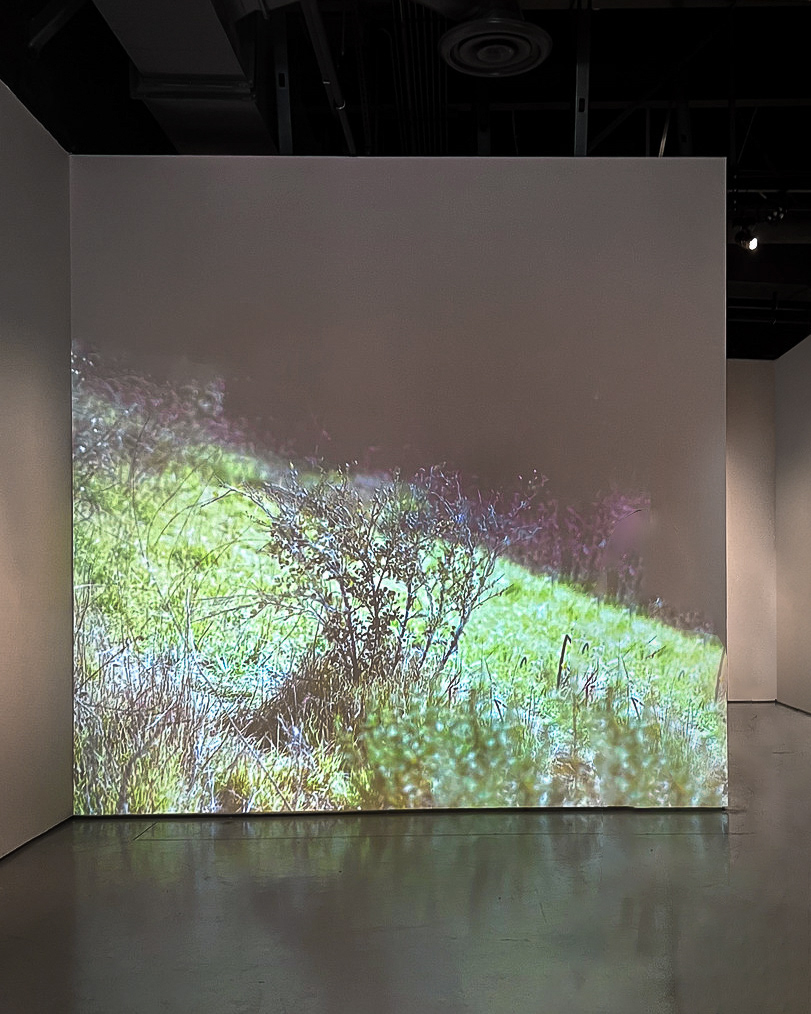 CSUN Art Galleries