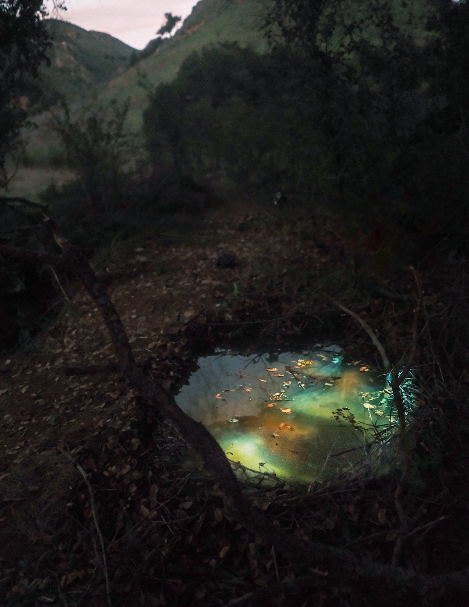 A glowing pond called "Icolette Pond" exists between two mountains in Santa Monica. The image upon the water's surface is a hazy picture of a girl with short black hair, this is Roanne Woo, playing Icolette.