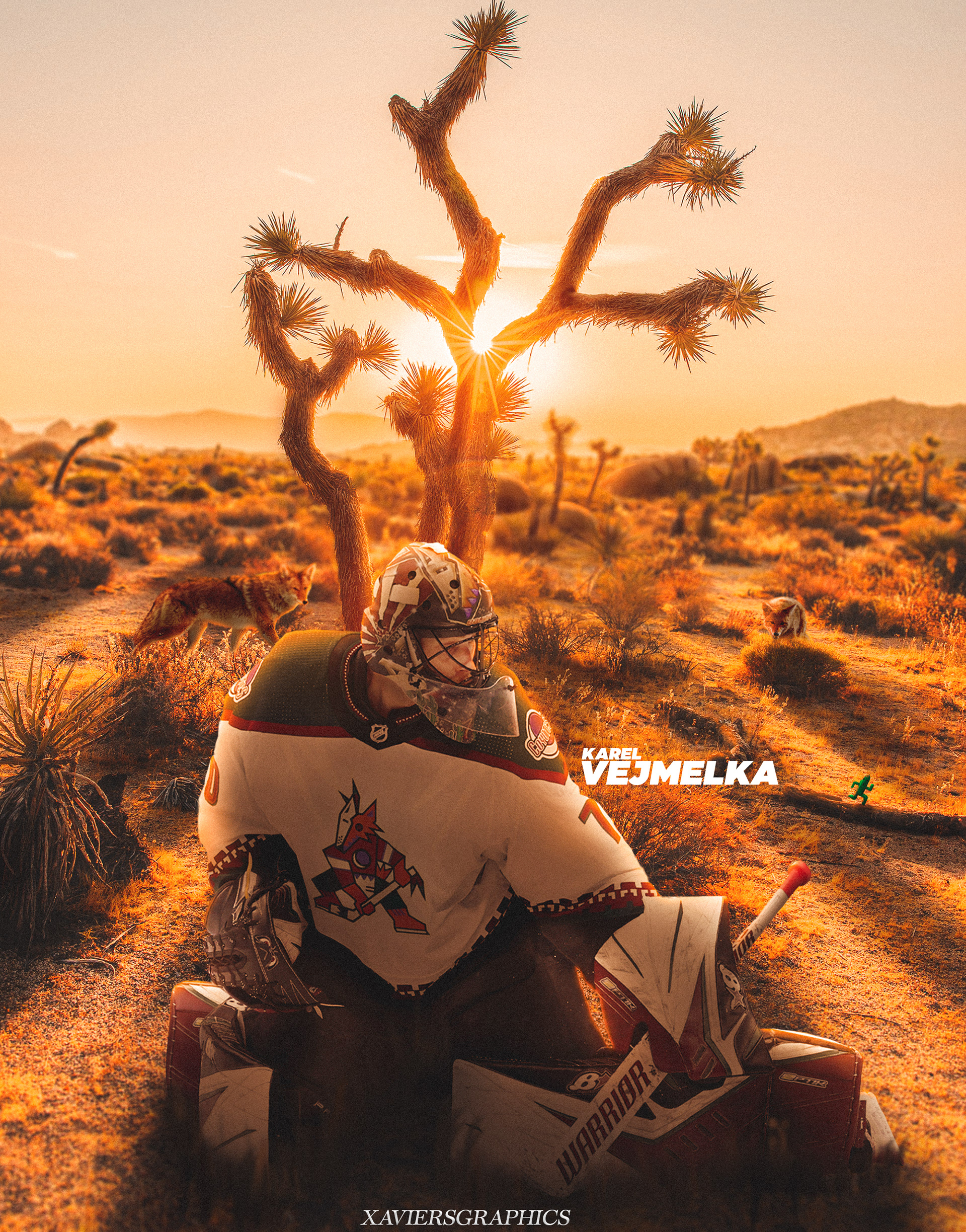 karel vejmelka | desert guardian graphic