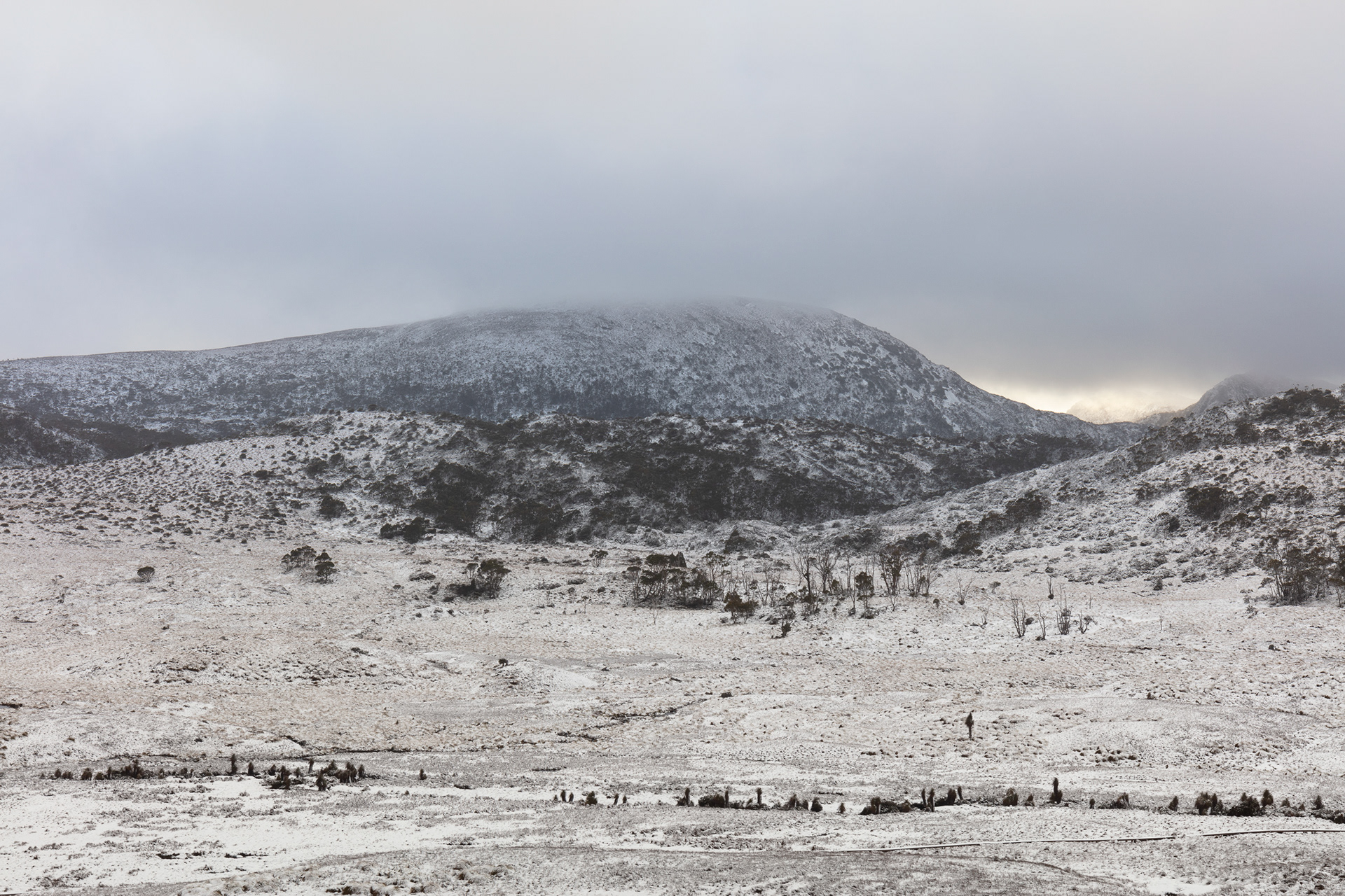Cradle Valley Morning