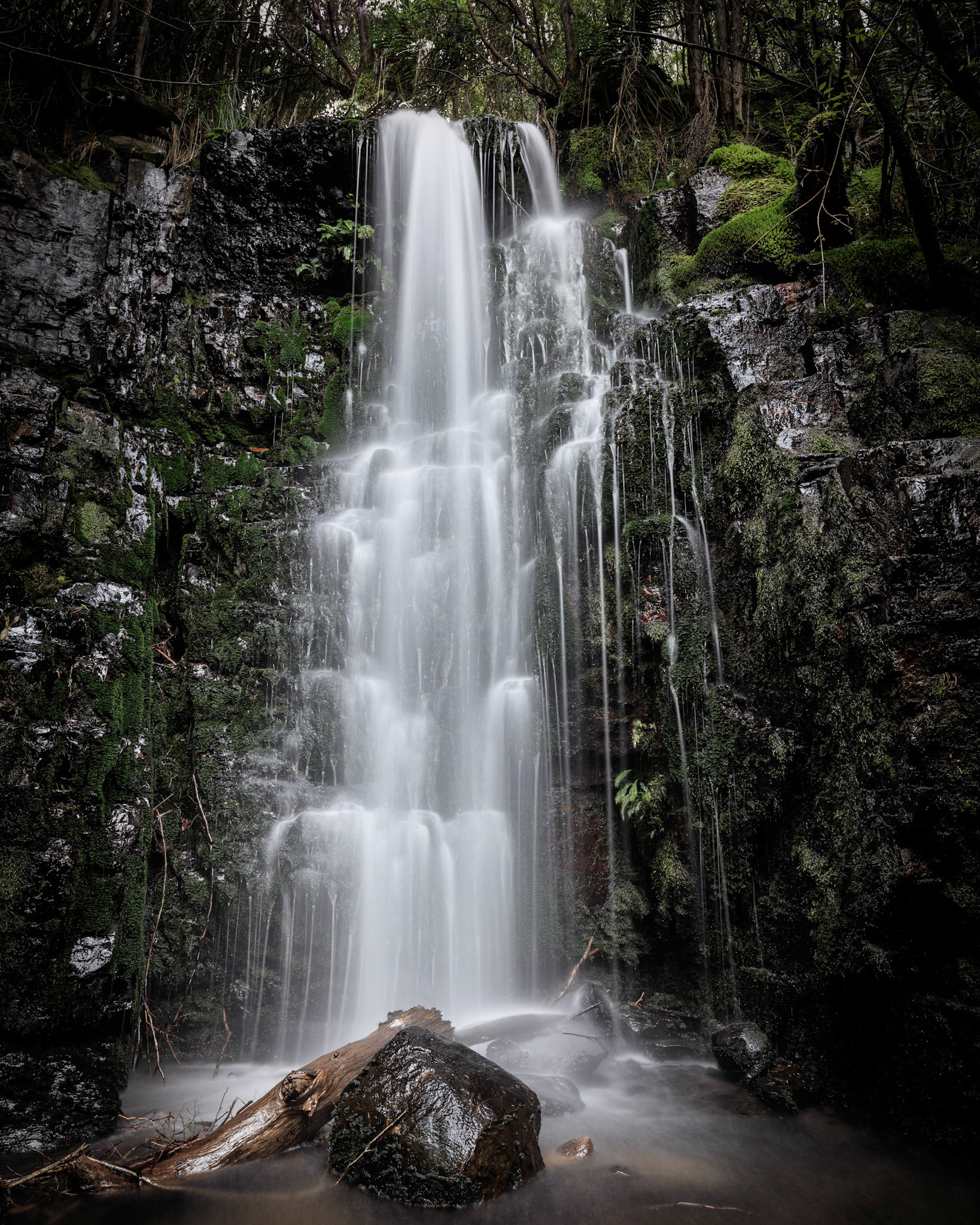 Myrtle Gully Falls